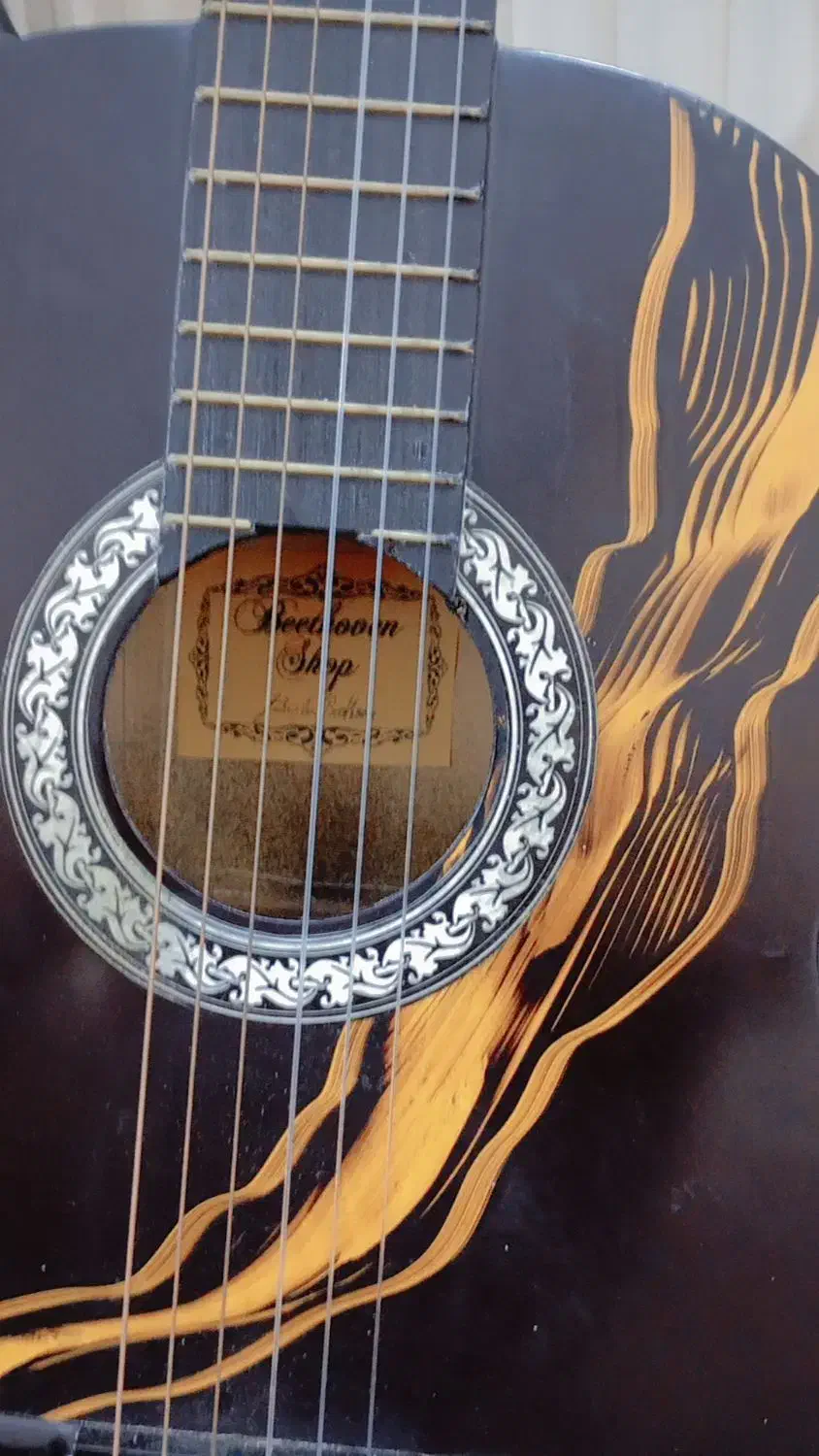 گیتار درحد نو|گیتار، بیس، امپلیفایر|شاهینشهر, گرگاب|دیوار