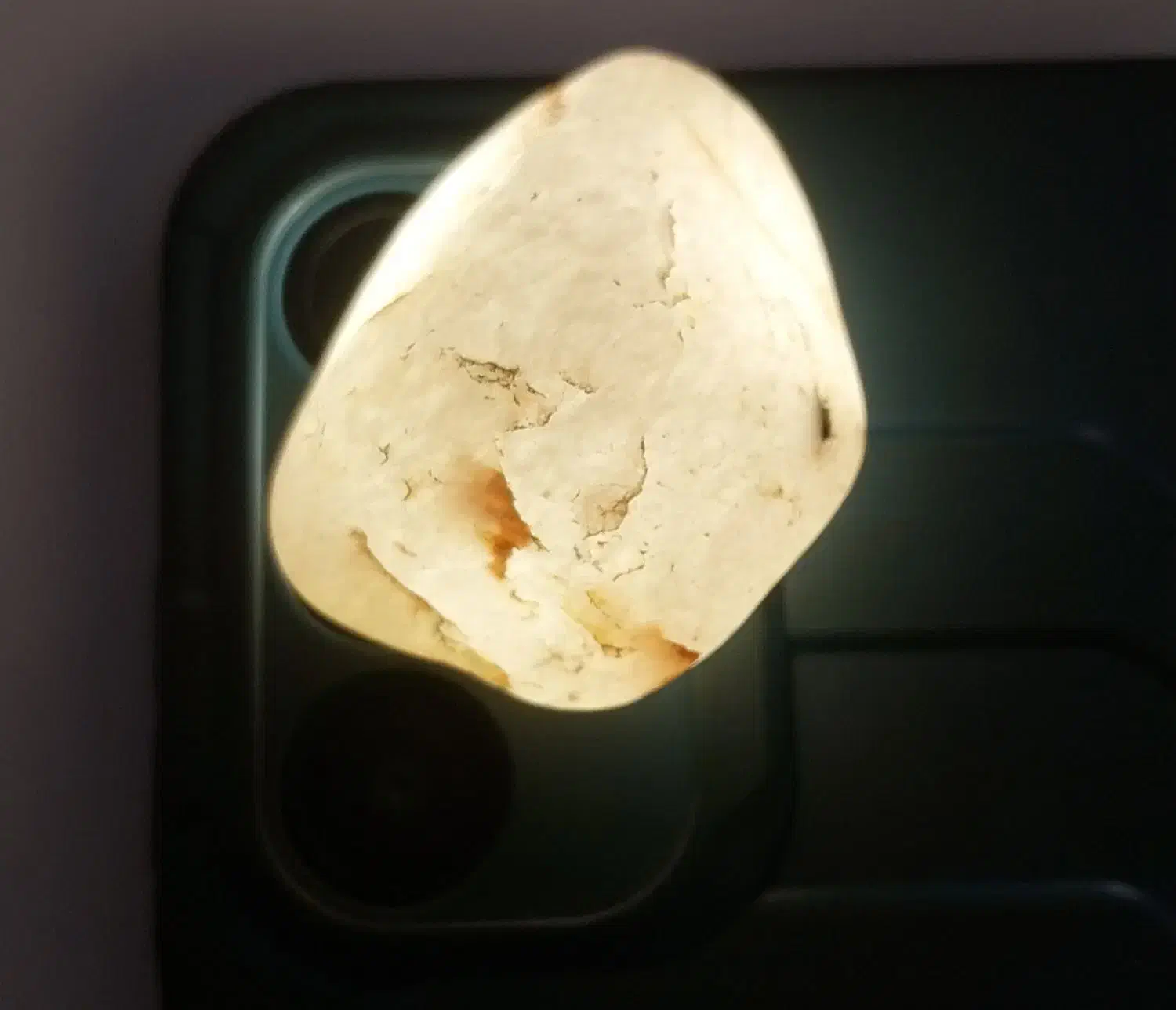 شجر رگ دار آبدار گبری با قدمت ۷۰۰۰ سال|کلکسیون اشیاء عتیقه|بم, |دیوار