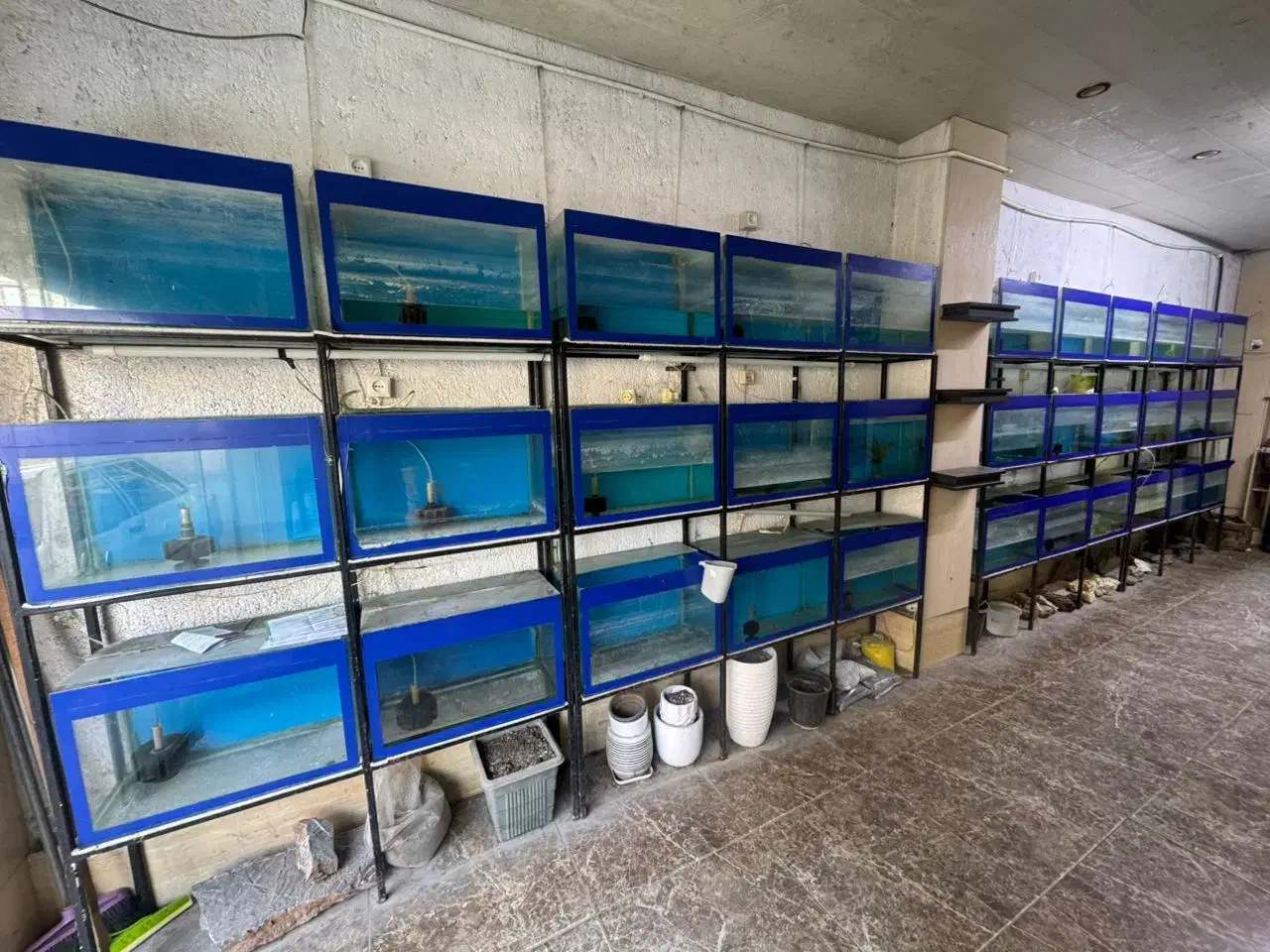 اکواریوم به همراه پایه|ماهی|ساری, |دیوار