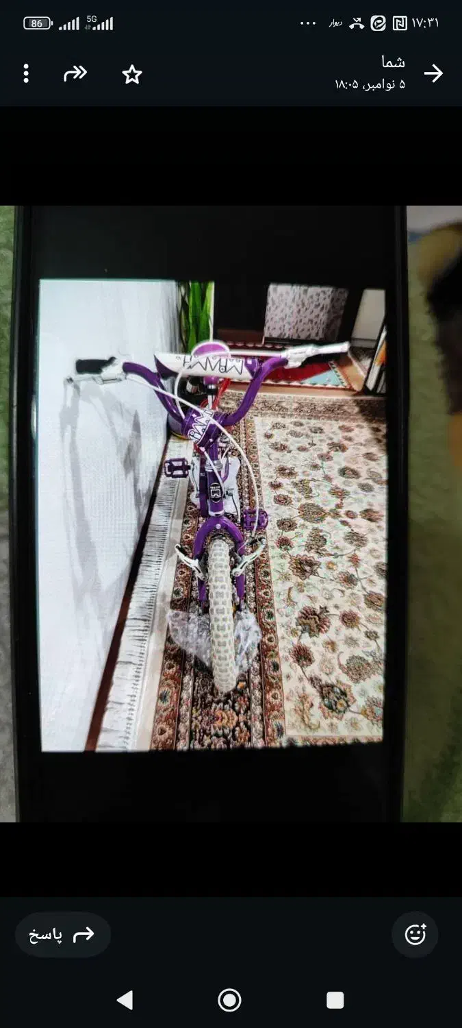 دوچرخه|دوچرخه، اسکیت، اسکوتر|صدرا-فارس, فاز ۱|دیوار