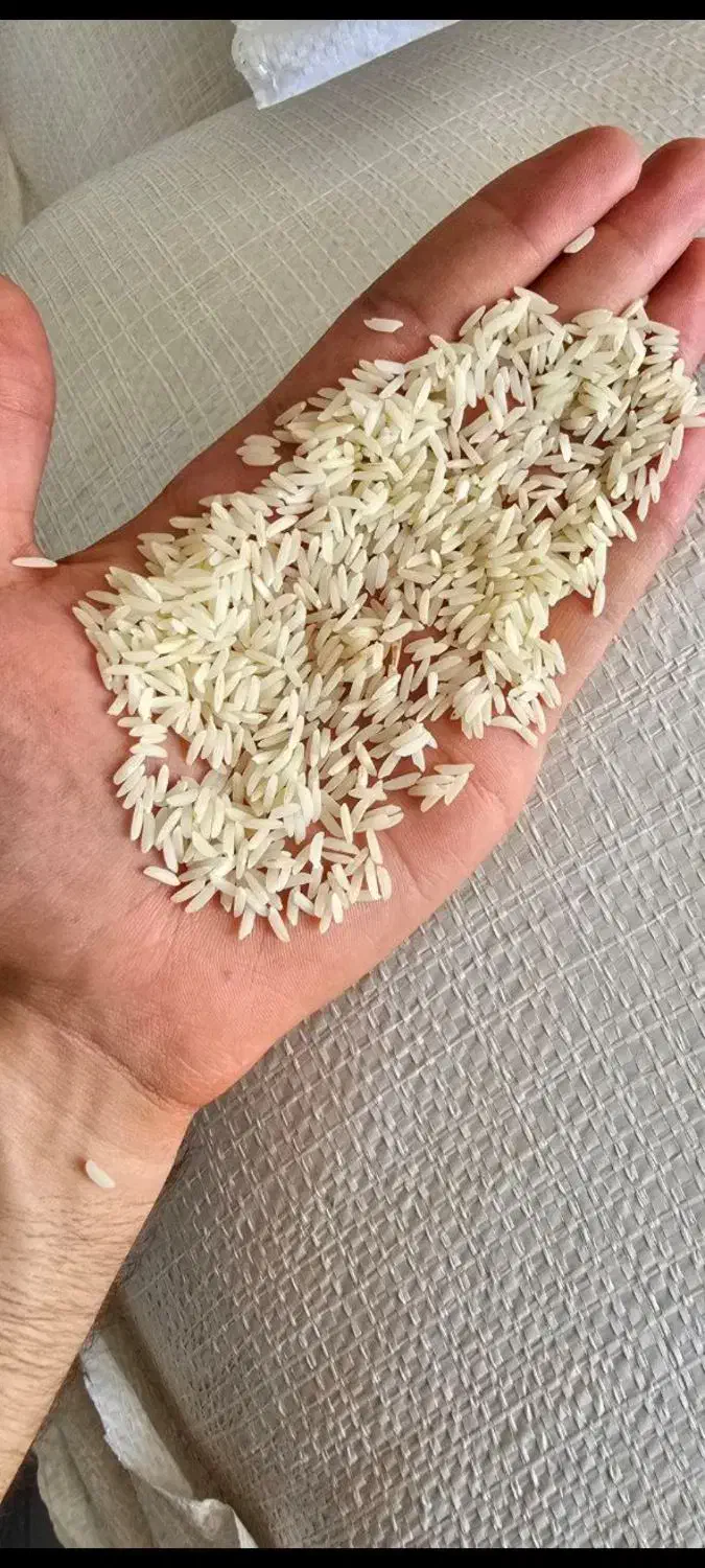 برنج طارم شمال|خوردنی و آشامیدنی|اردبیل, |دیوار