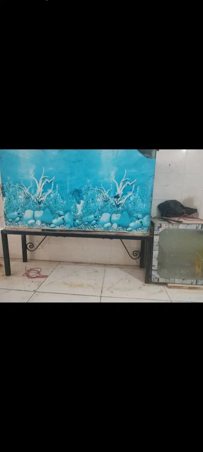 آکواریم شیشه ایی بزرگ و کوچک|ماهی|خرمآباد, |دیوار