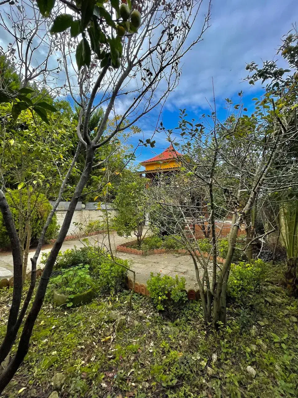 ویلا باغ سرسبز حیاط دار سند شش دانگ شهرکی|فروش خانه و ویلا|تهران, تجریش|دیوار