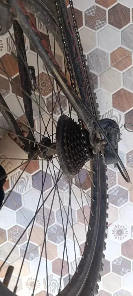 دوچرخه 26|دوچرخه، اسکیت، اسکوتر|باوی, |دیوار