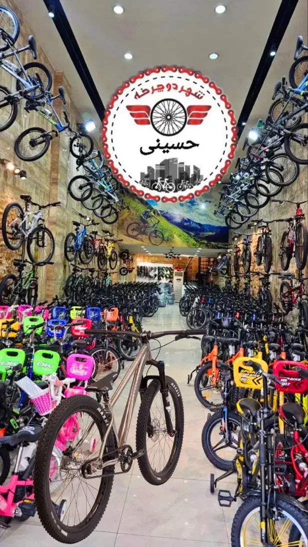 دوچرخه آلفا تنه برجسته|دوچرخه، اسکیت، اسکوتر|مشکیندشت, |دیوار