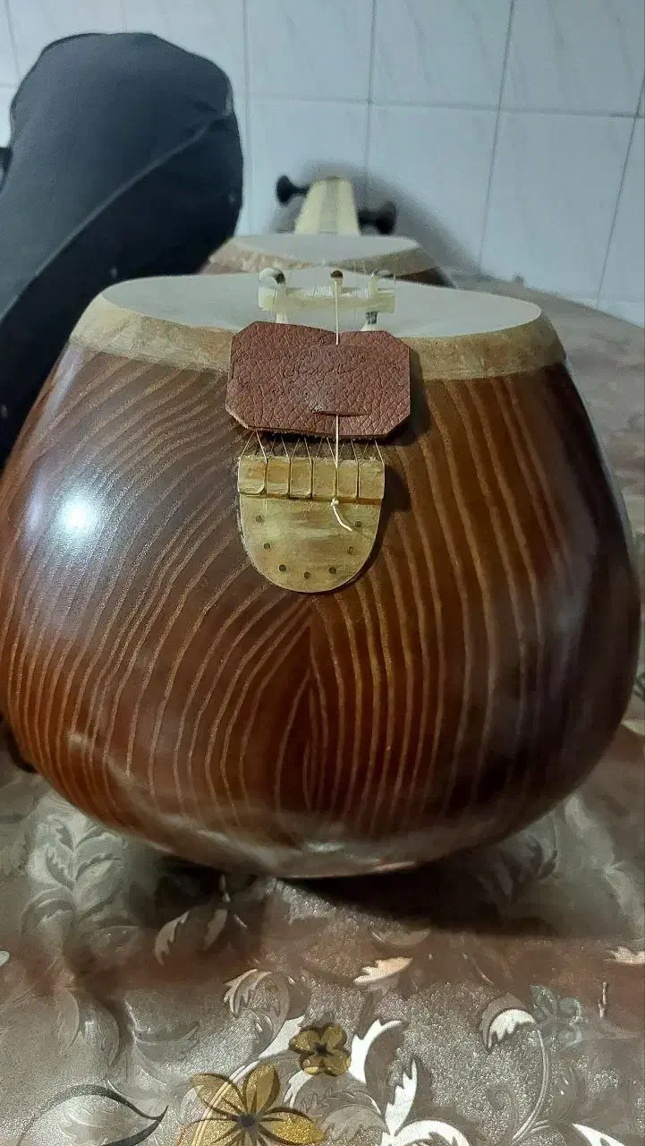 تار رشیدی ملایری|سازهای سنتی|تهران, تهرانپارس شرقی|دیوار