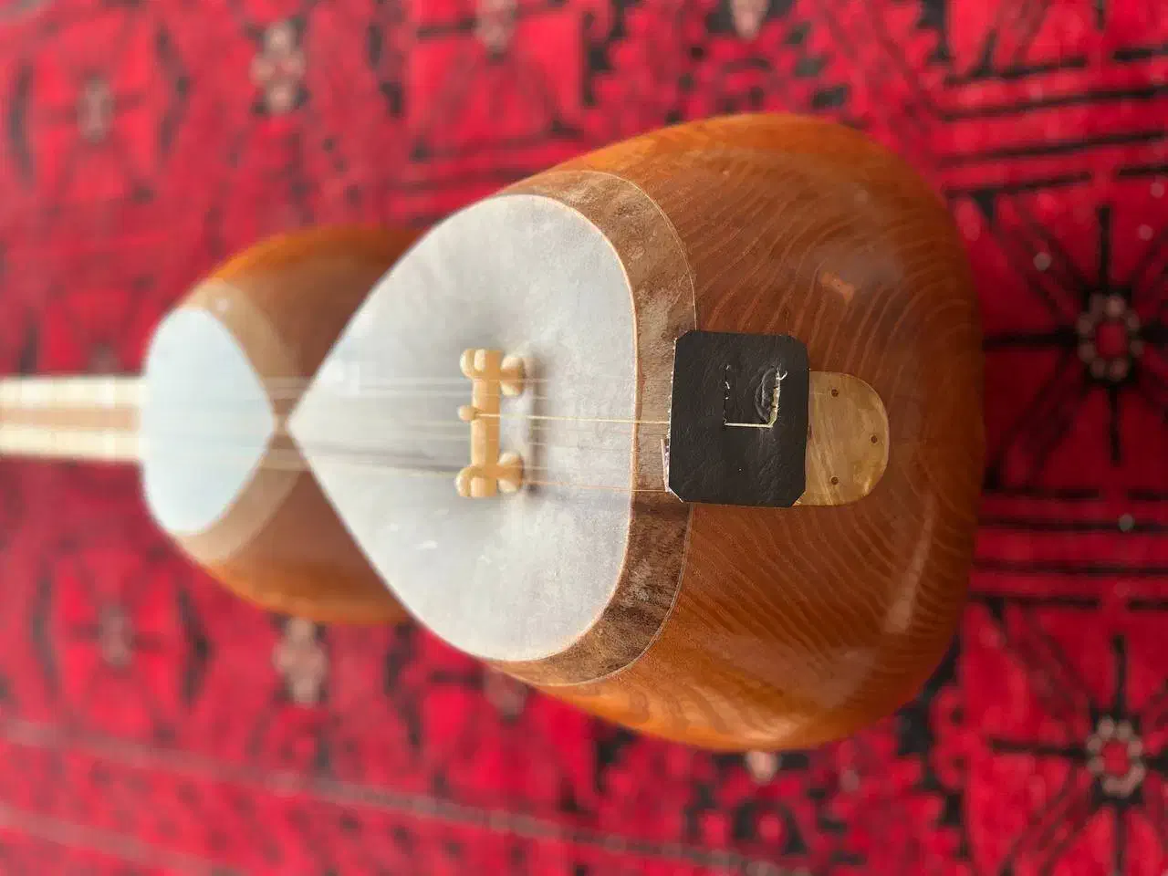 تار|سازهای سنتی|سبزوار, پیام|دیوار