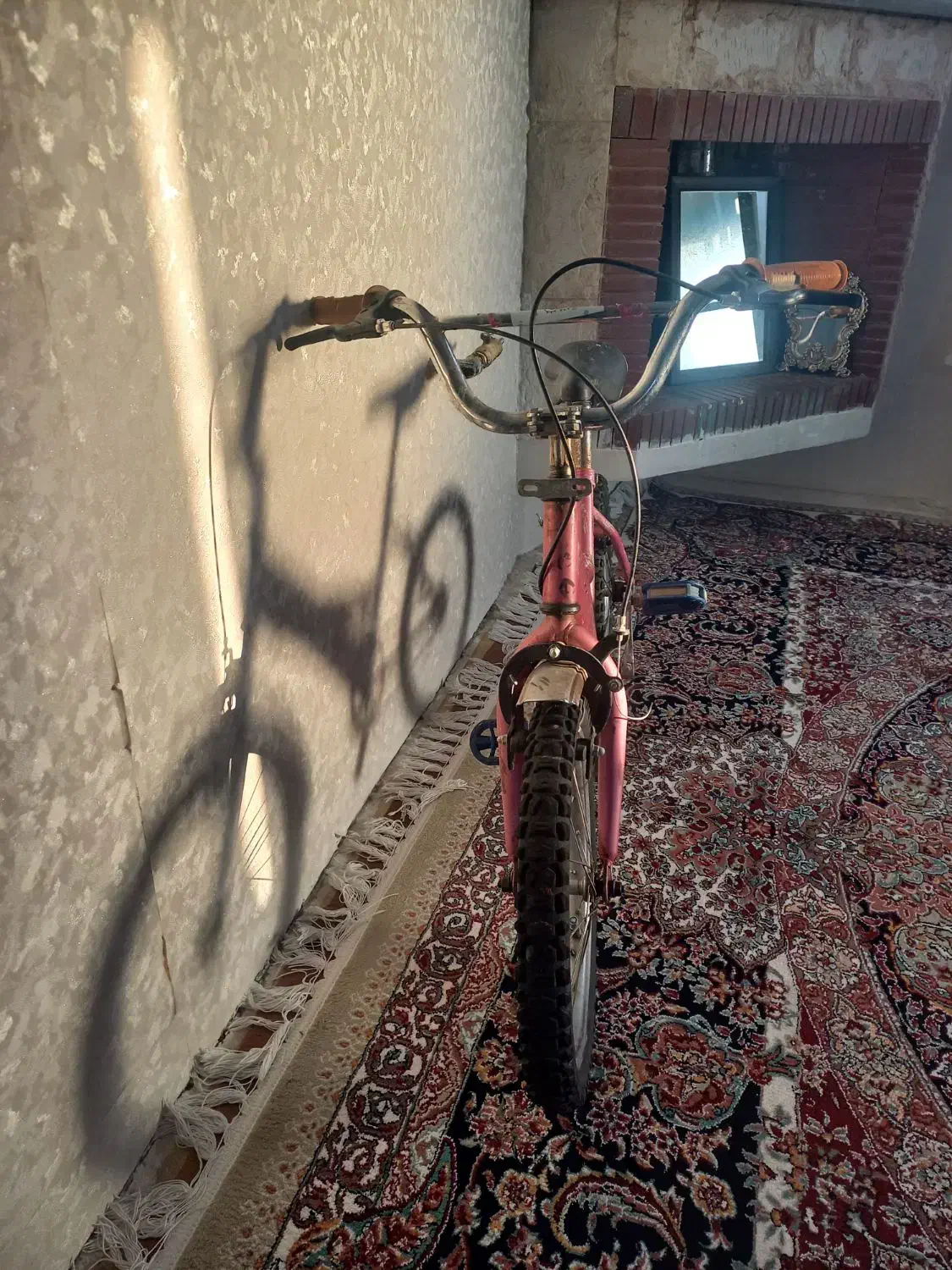 دوچرخه|دوچرخه، اسکیت، اسکوتر|صدرا-فارس, فاز ۲|دیوار