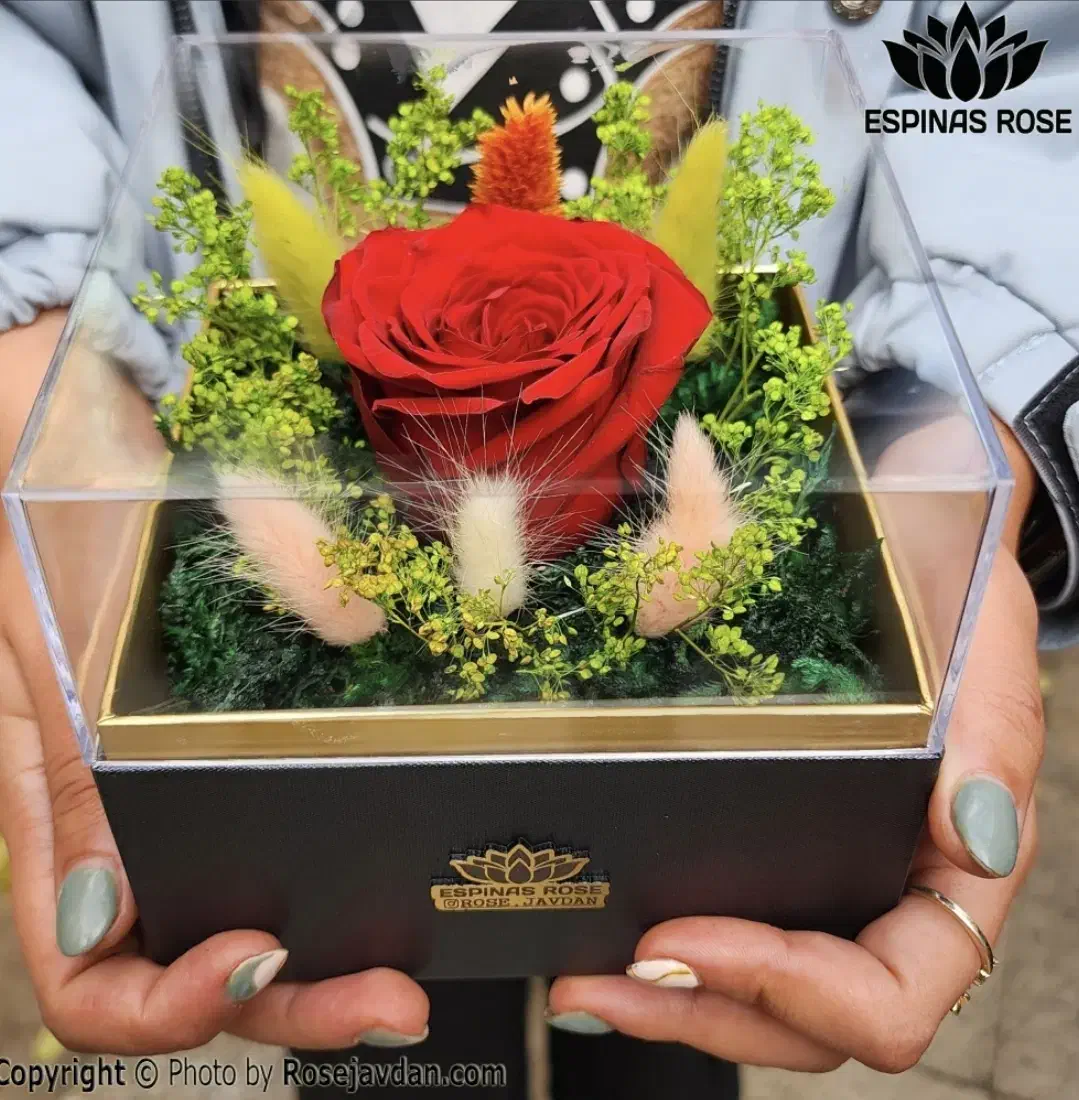 باکس طرح مانا گل رز جاودان جاویدان کادو روز مادر|گل و گیاه طبیعی|تهران, میدان ولیعصر|دیوار