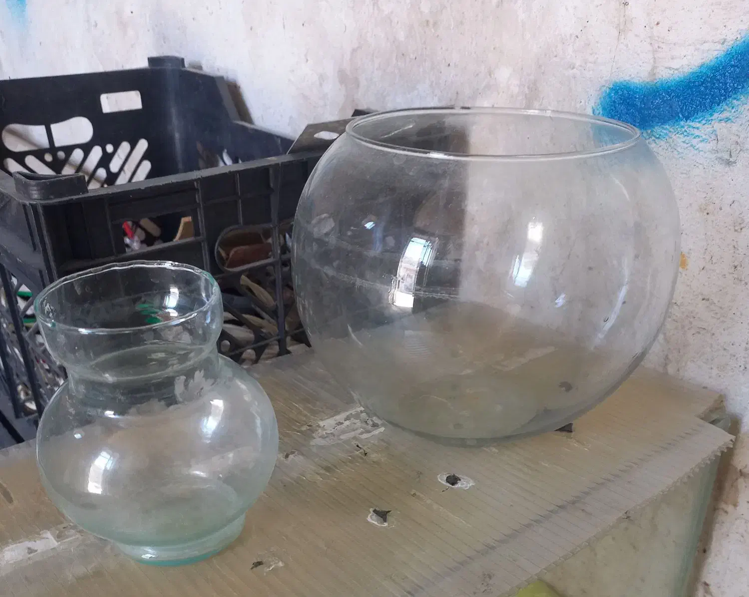 آکواریوم و وسایل فروشی.|ماهی|فسا, |دیوار