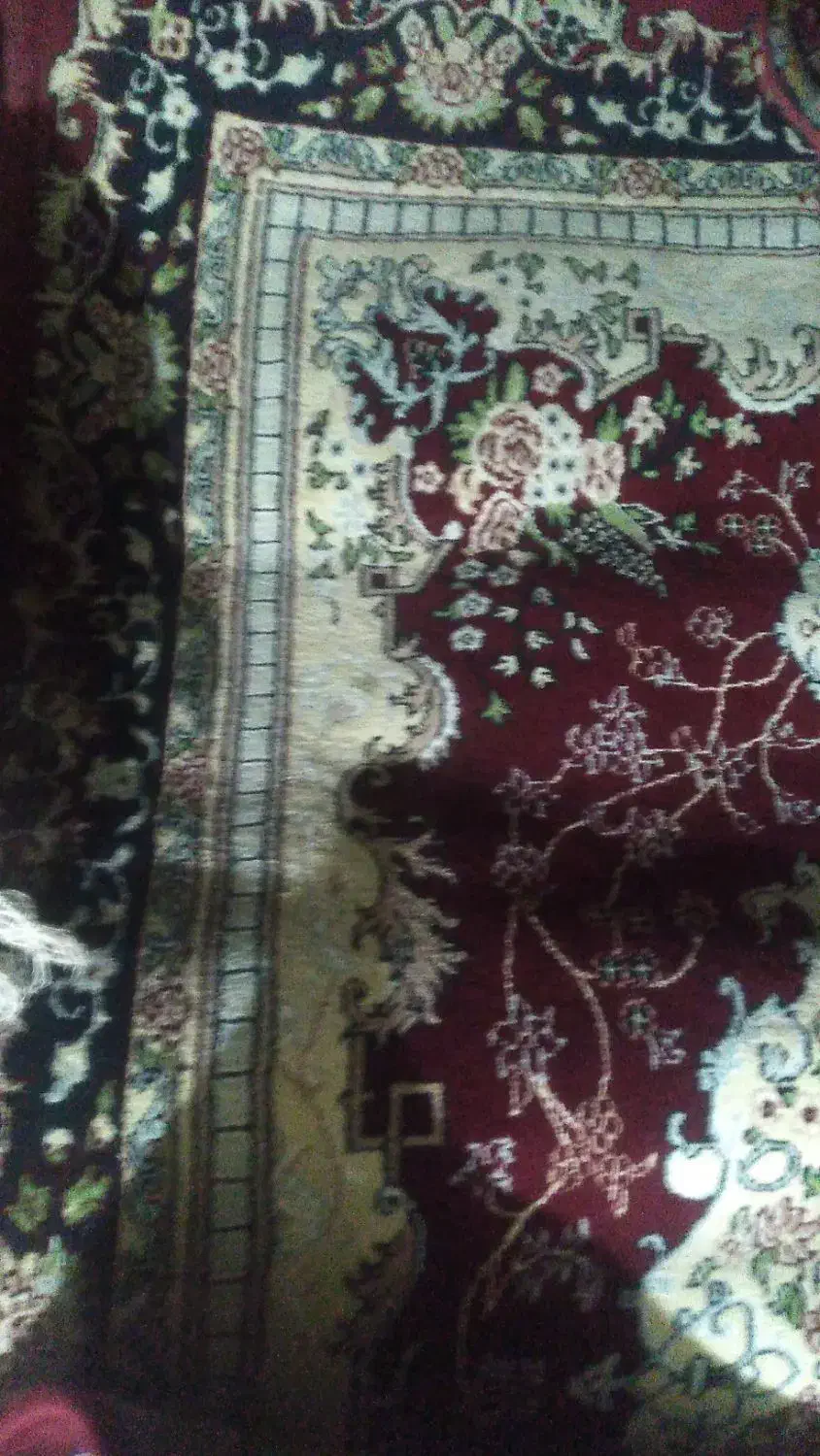 فرش کناره|فرش|شیراز, فرگاز|دیوار