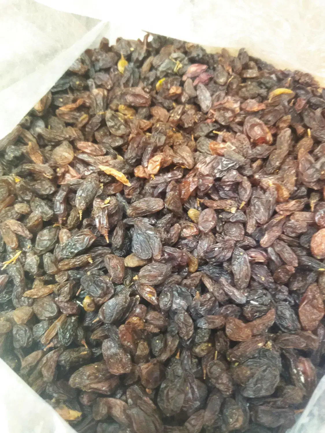 کشمش آبگیری آفتابی|خوردنی و آشامیدنی|بسطام, |دیوار