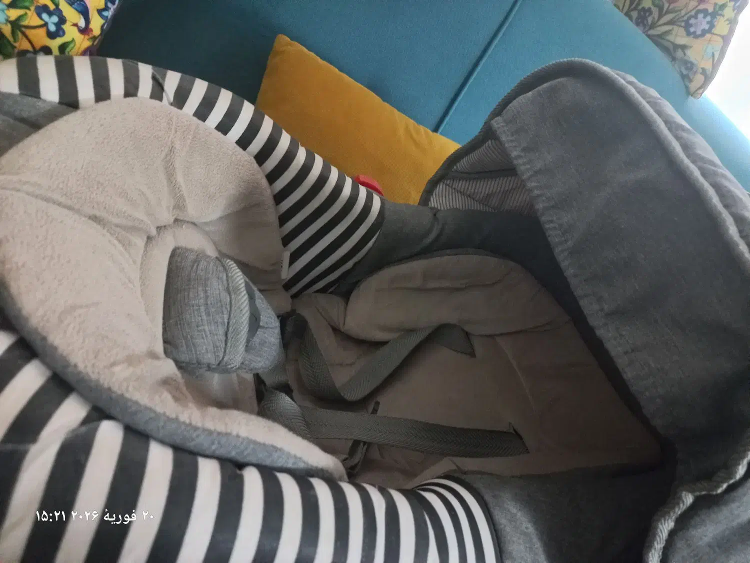 کریر بچه|کالسکه و لوازم جانبی|مشهد, حیدرآباد|دیوار