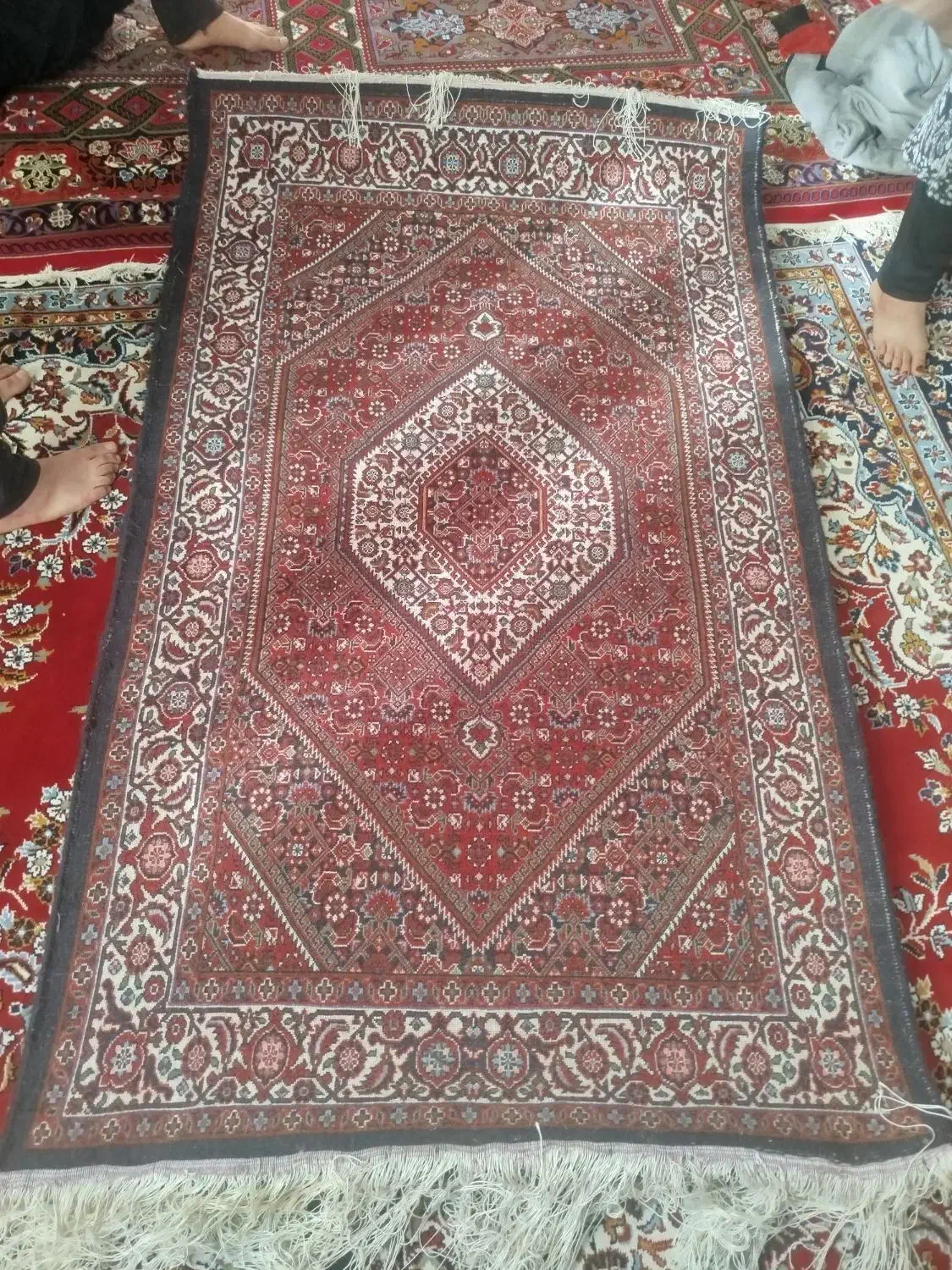 فرش زرین|فرش|سجاس رود, |دیوار