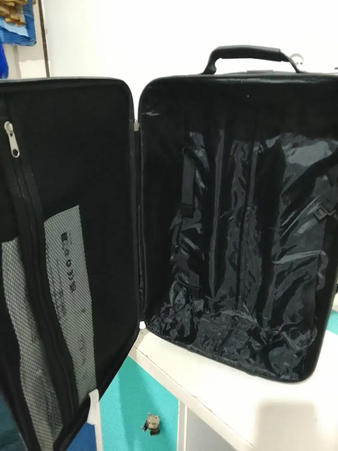 چمدان|کیف، کفش، کمربند|فیروزکوه, |دیوار