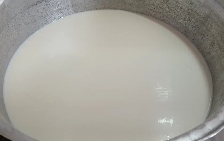 شیر|خوردنی و آشامیدنی|حمیل, |دیوار