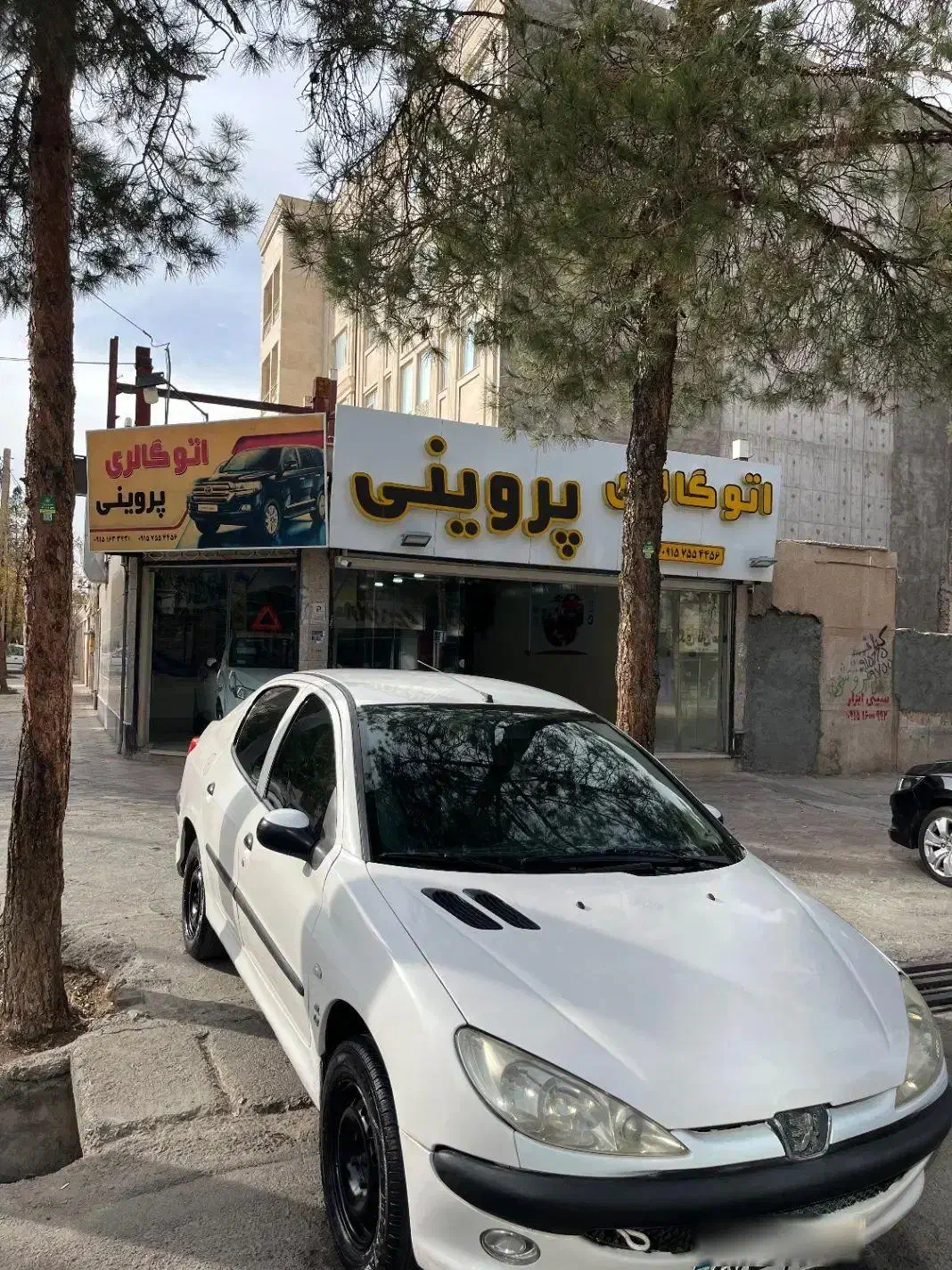 206sd|خودرو سواری و وانت|بیرجند, |دیوار