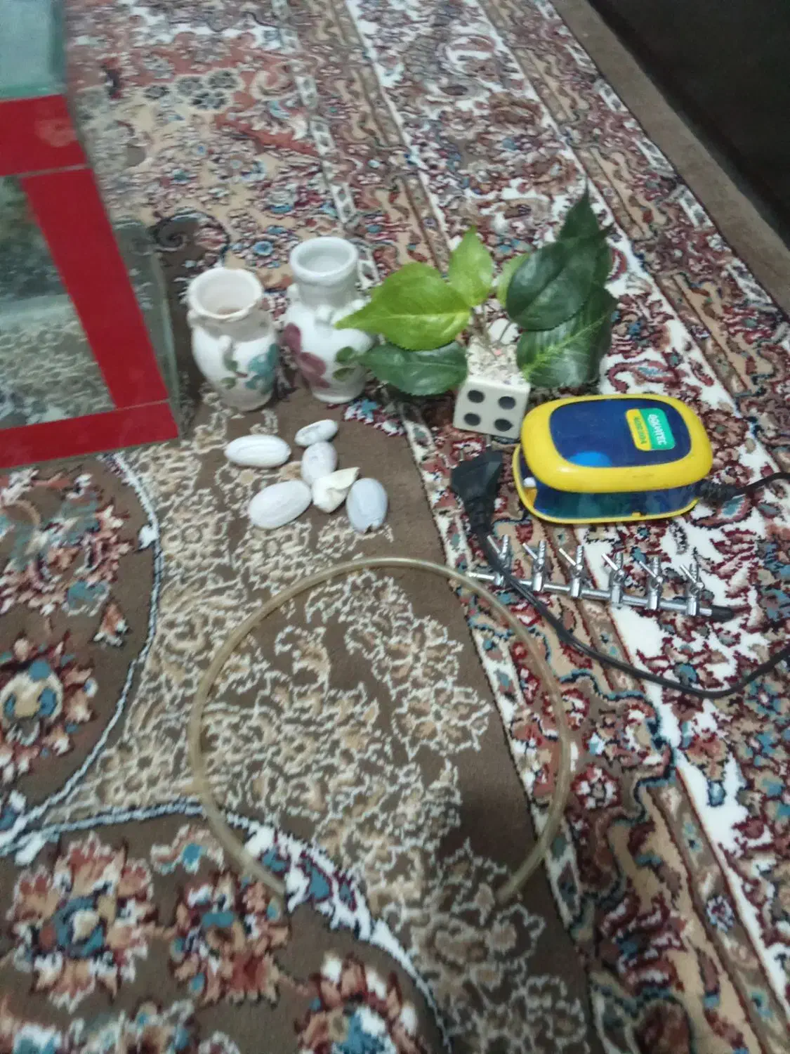 آکواریوم|ماهی|سقز, |دیوار