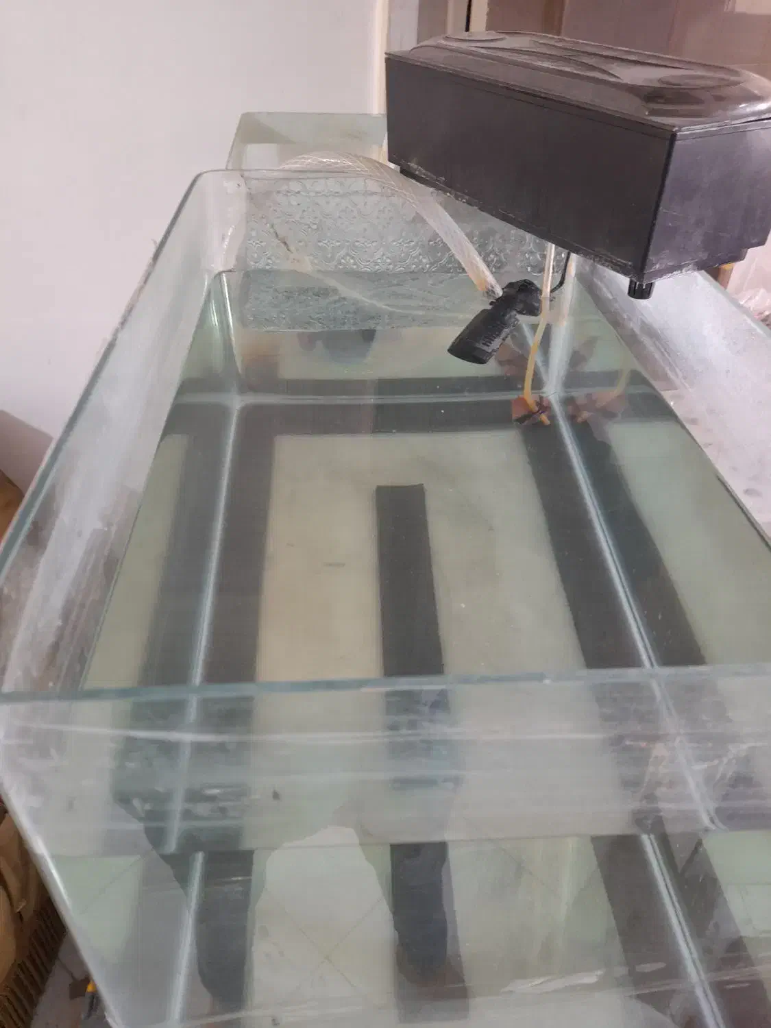 دو عدد اکواریوم|ماهی|تهران, سلیمانی|دیوار