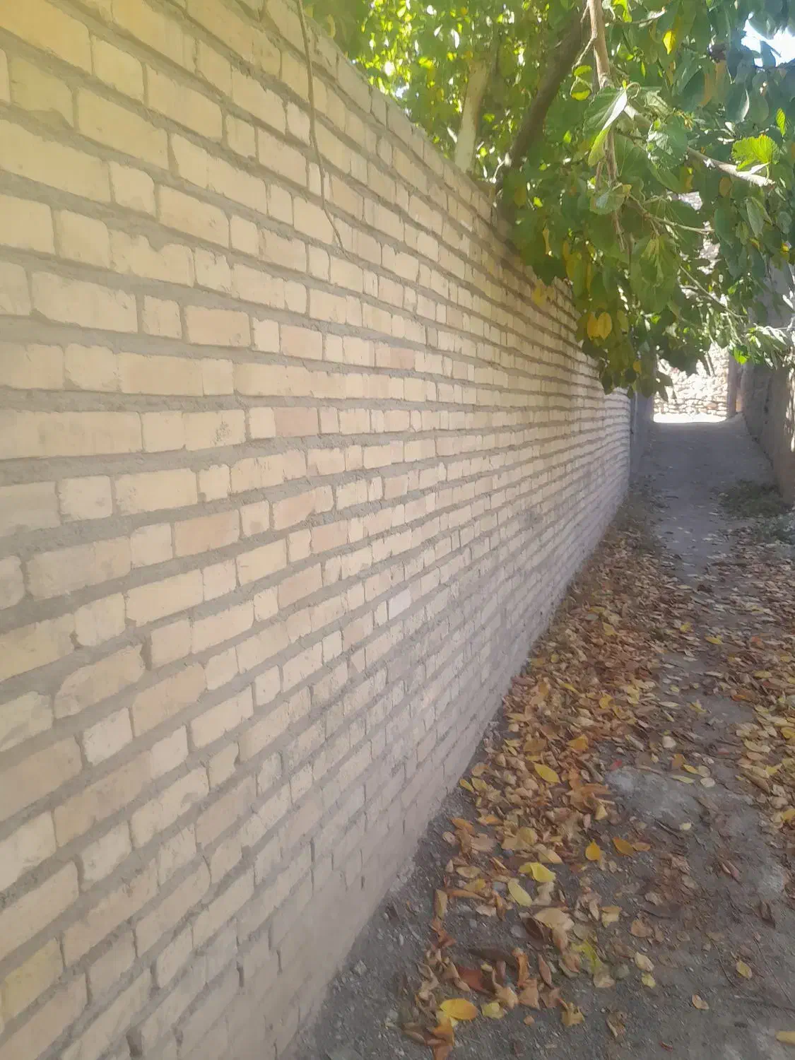 پیمانکاری وباغبانی|خدمات پیشه و مهارت|شاندیز, |دیوار