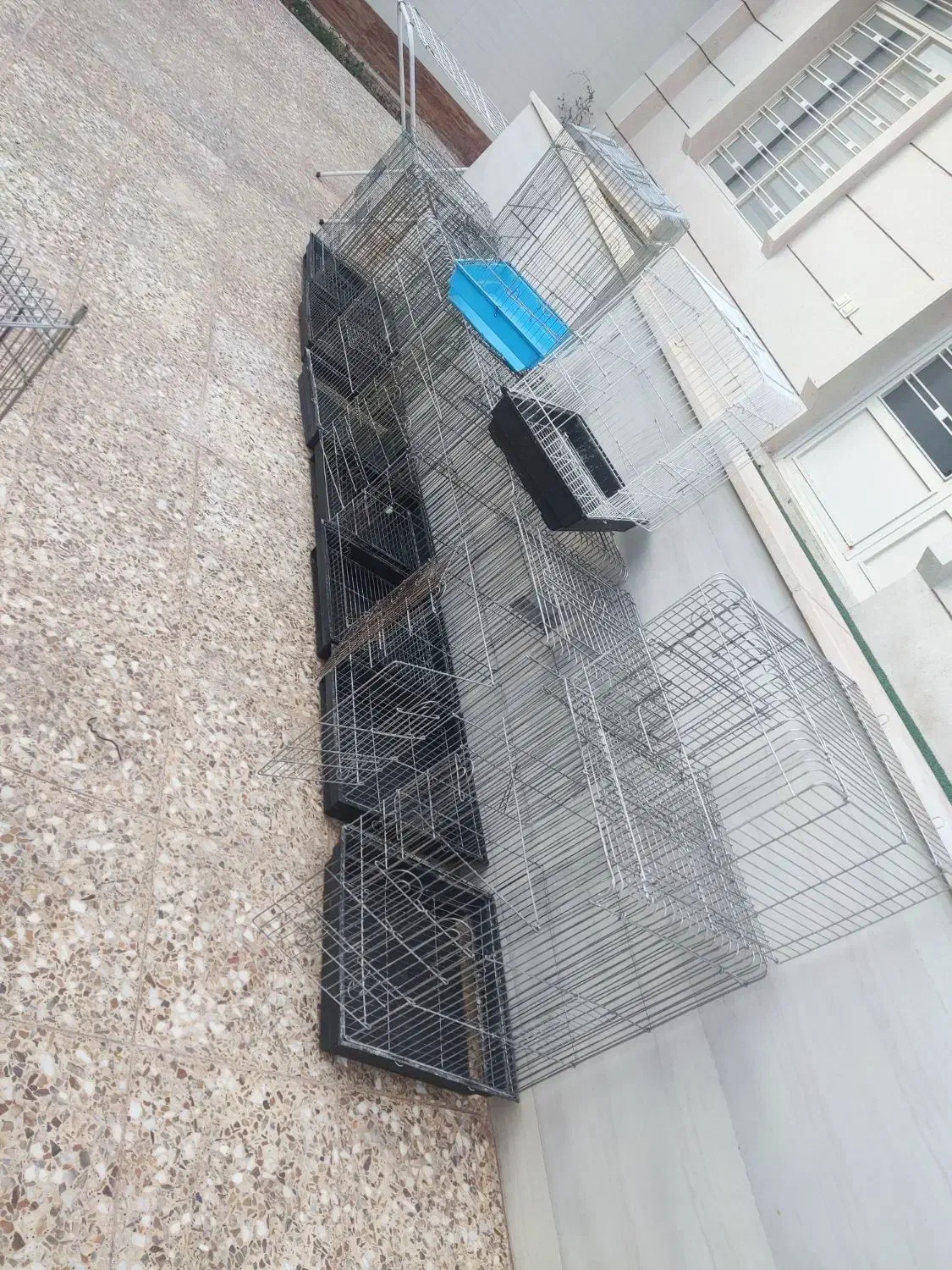 قفس طوطی|لوازم جانبی حیوانات|کازرون, |دیوار