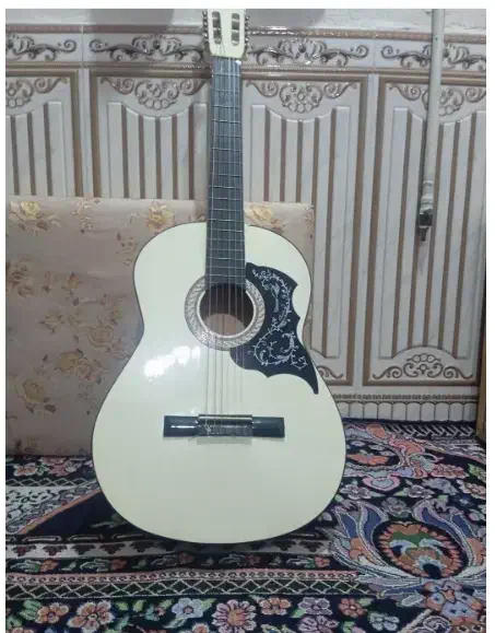 گیتار|گیتار، بیس، امپلیفایر|دهدشت, |دیوار