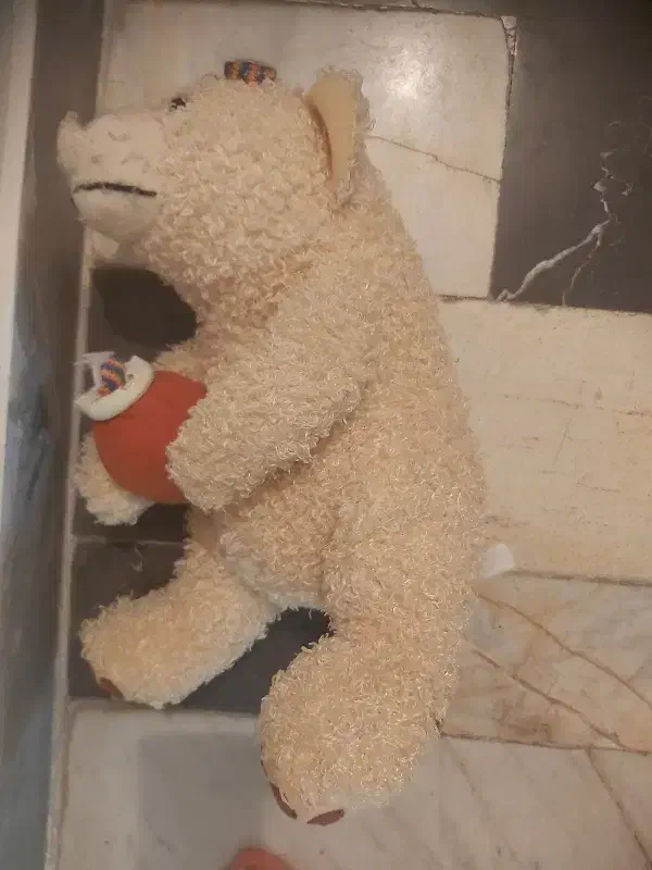 عروسک|اسباب‌بازی بچه|ساری, |دیوار