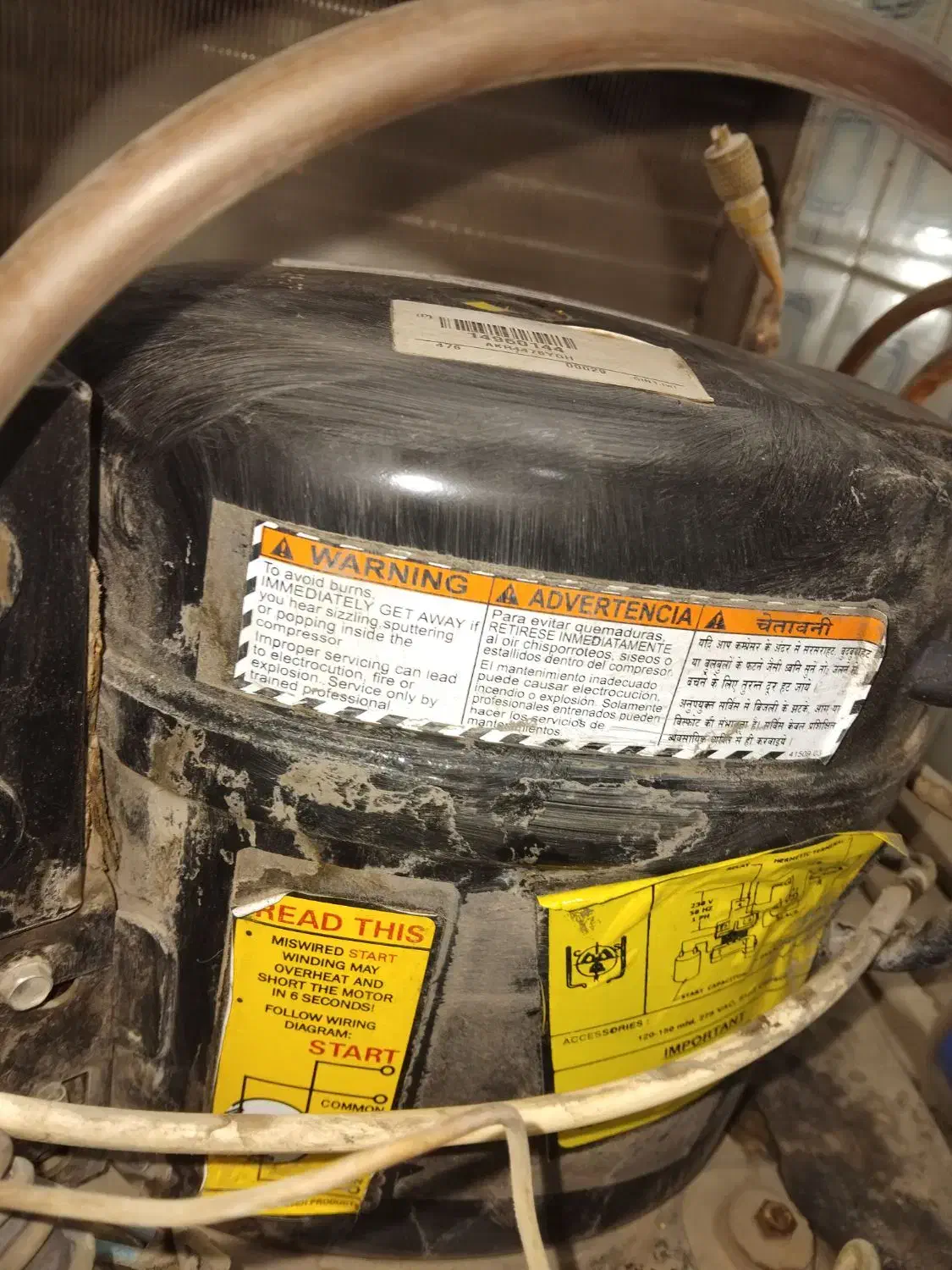 یخچال ایستاده ۶ درب|فروشگاه و مغازه|قم, هنرستان|دیوار