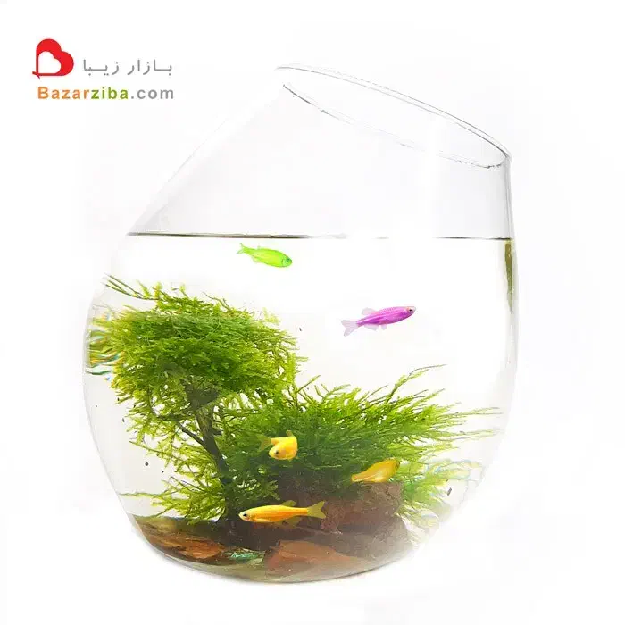 نیرو خانم جهت کار در بخش تولید گیاهان آبزی|استخدام صنعتی، فنی، مهندسی|آستانه اشرفیه, |دیوار