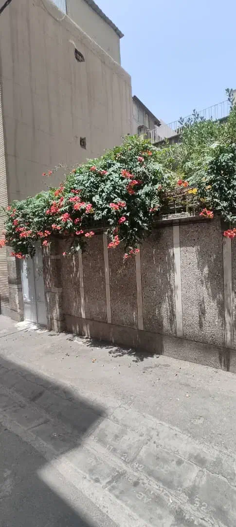 فروش ملک کلنگی ۱۰۸ متر در ابعاد۶در ۱۸ در تهران‌نو|فروش زمین و ملک کلنگی|تهران, تهران‌نو|دیوار