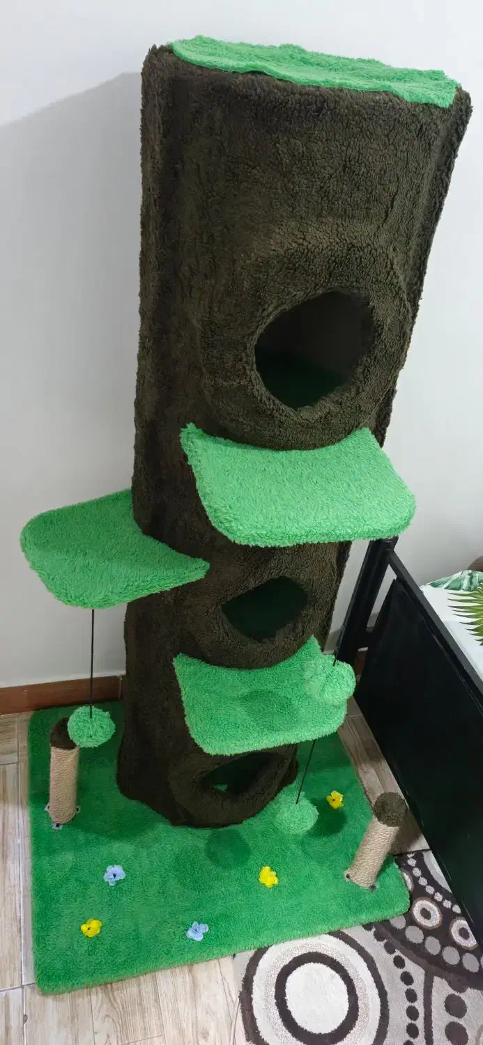 اسکرچر یا خانه گربه|لوازم جانبی حیوانات|محمدیه-قزوین, |دیوار