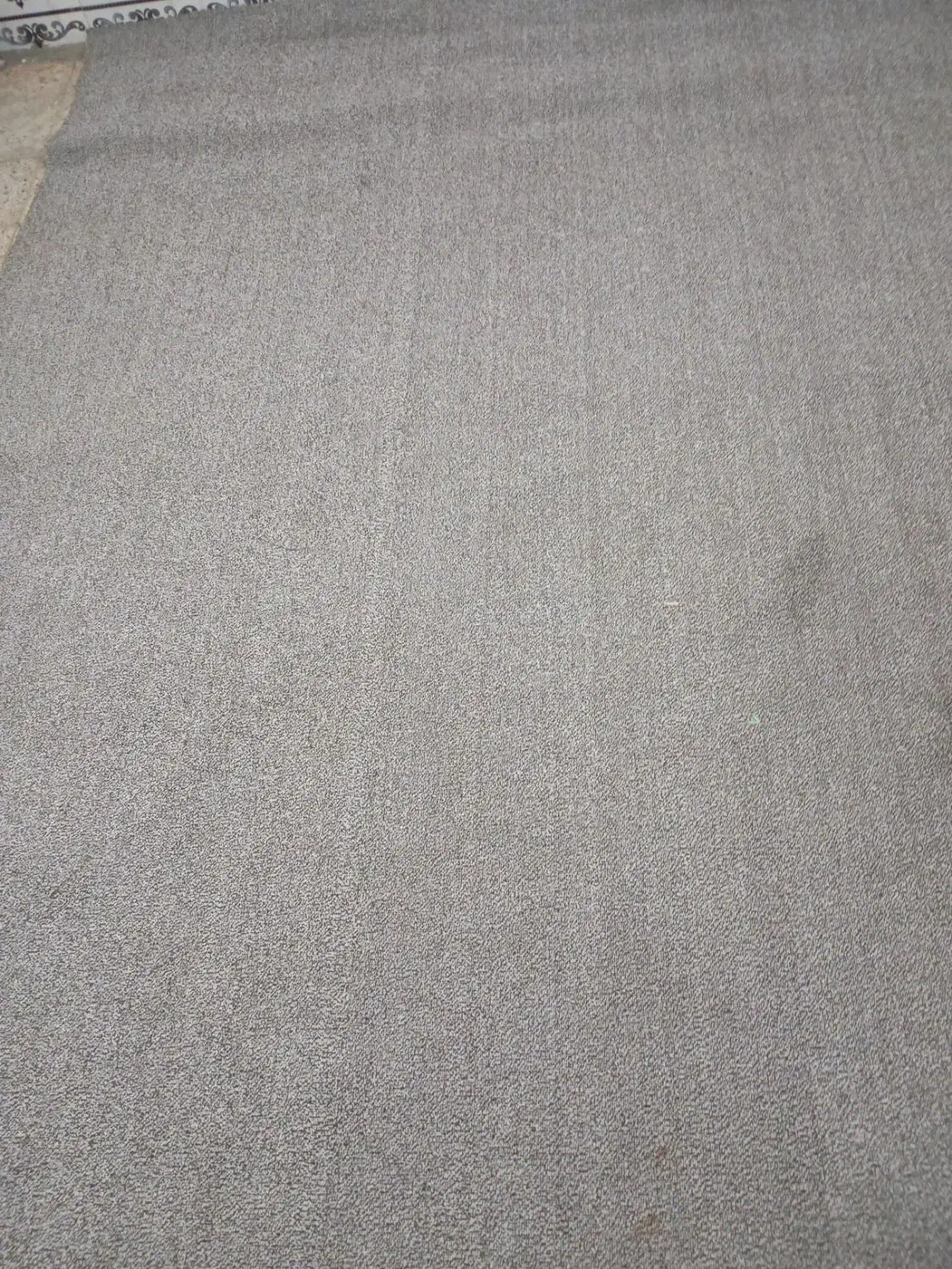 پالاز موکت ۲۷ متر|موکت|مسجد سلیمان, |دیوار