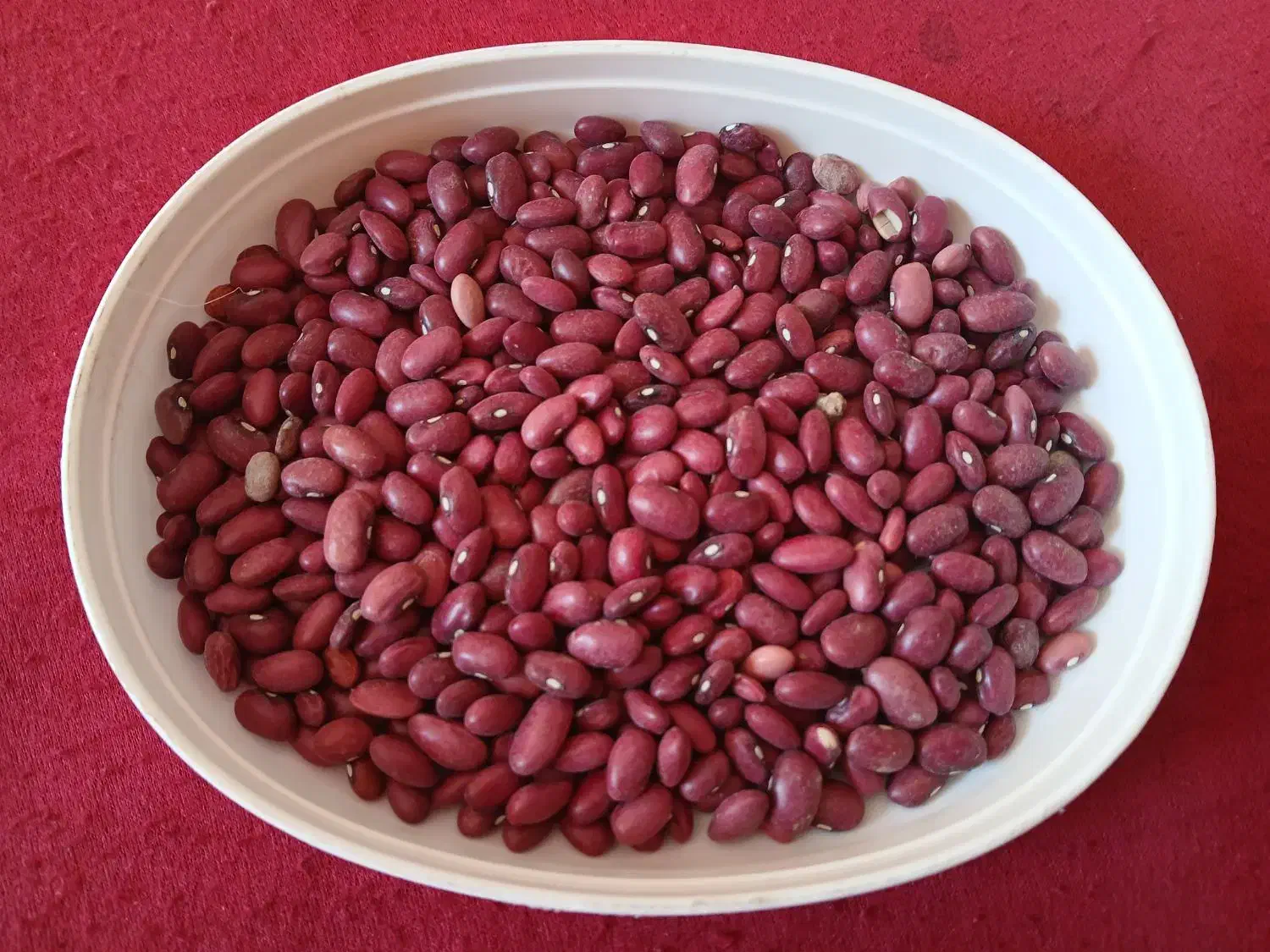 لوبیا قرمز|خوردنی و آشامیدنی|درودزن, |دیوار