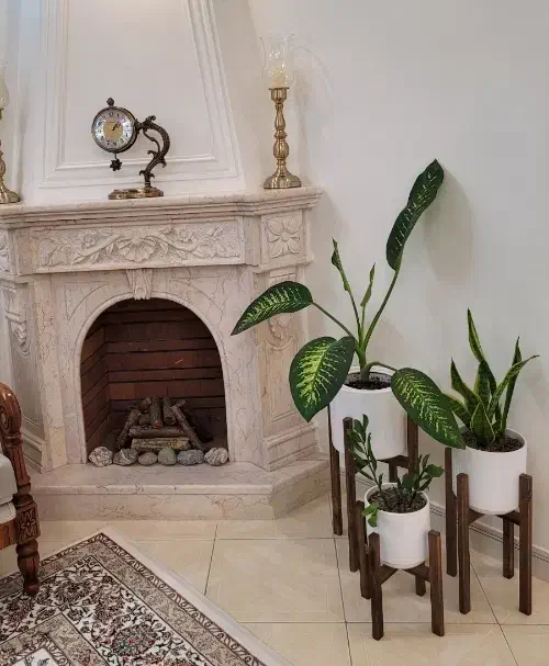 گلدان با پایه چوبی کاملا سالم|گل و گیاه طبیعی|تهران, افسریه شمالی|دیوار