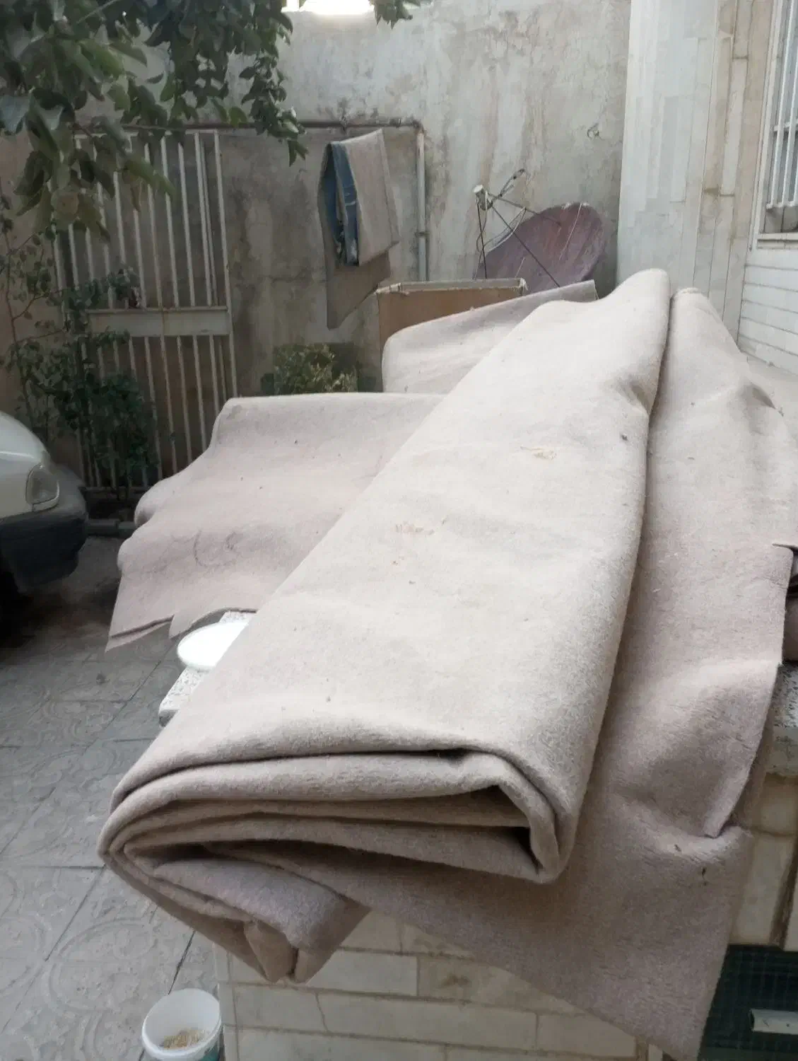 موکت ظریف مصور|موکت|کرمانشاه, |دیوار