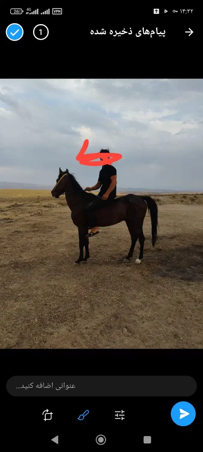 اسب|اسب و تجهیزات اسب‌سواری|میانه, |دیوار