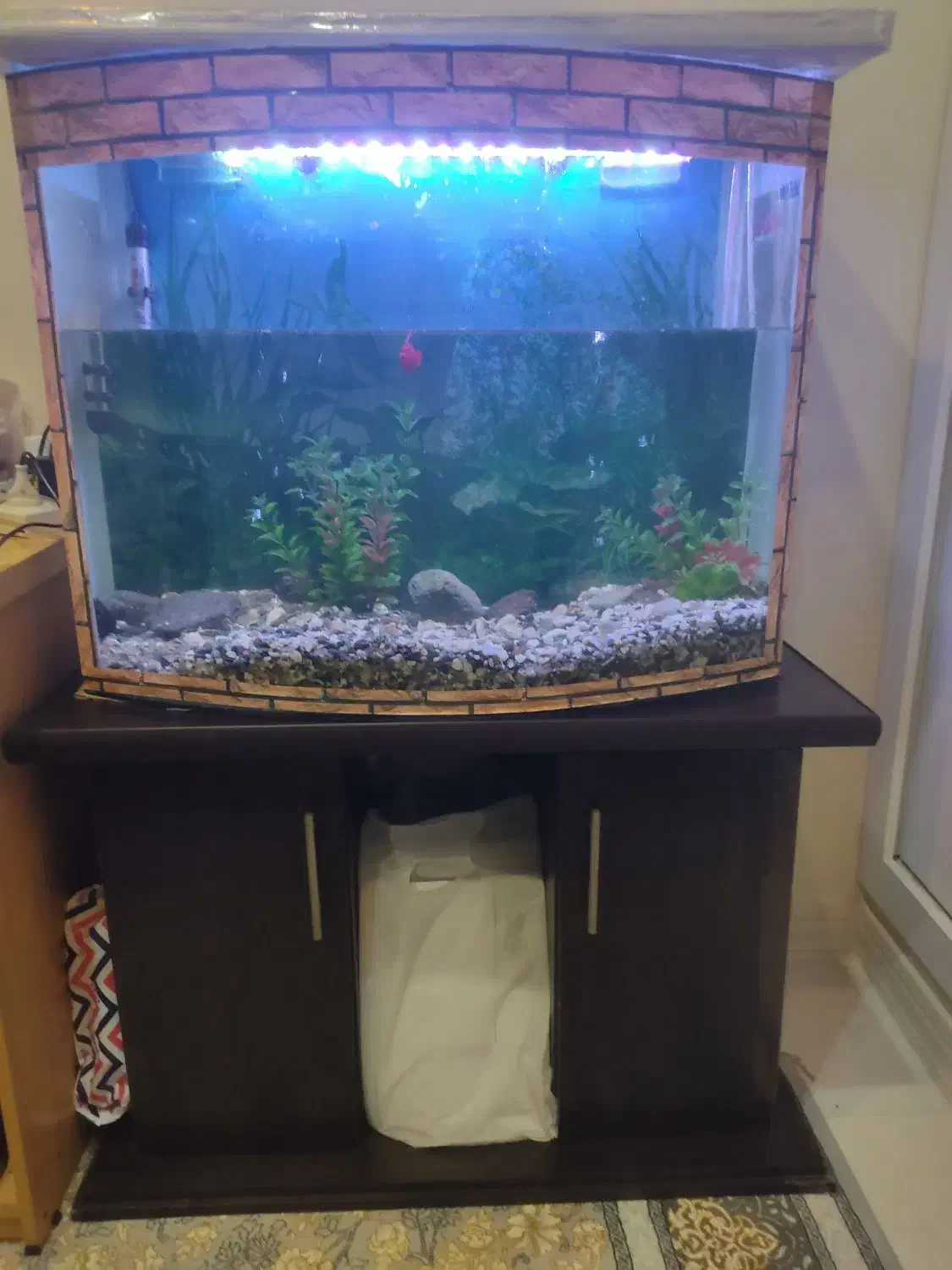 آکواریوم شیشه خم به همراه میز|ماهی|اندیشه, اندیشه فاز ۱|دیوار