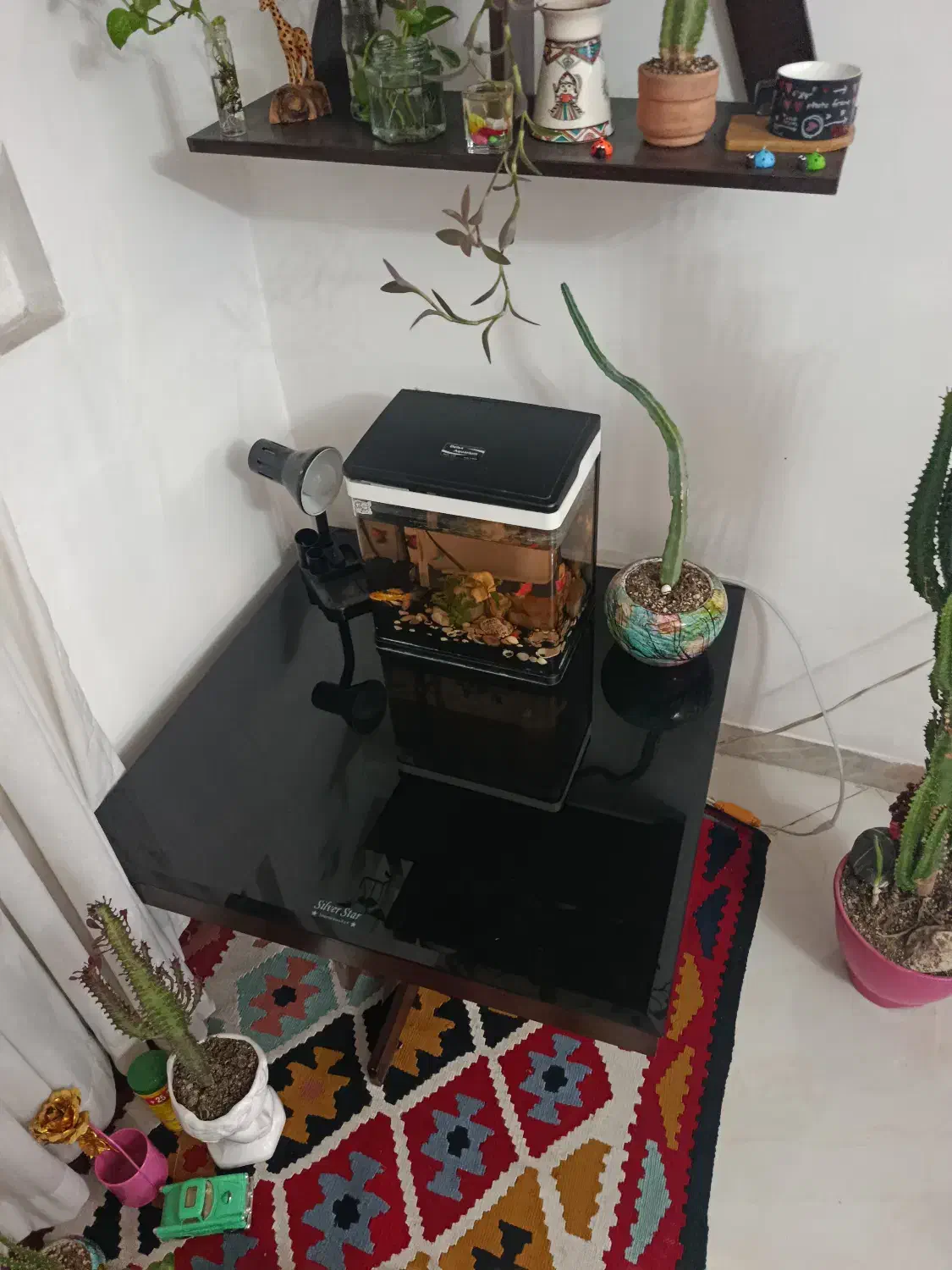 میز|بوفه، ویترین، کنسول|کرج, گلشهر|دیوار