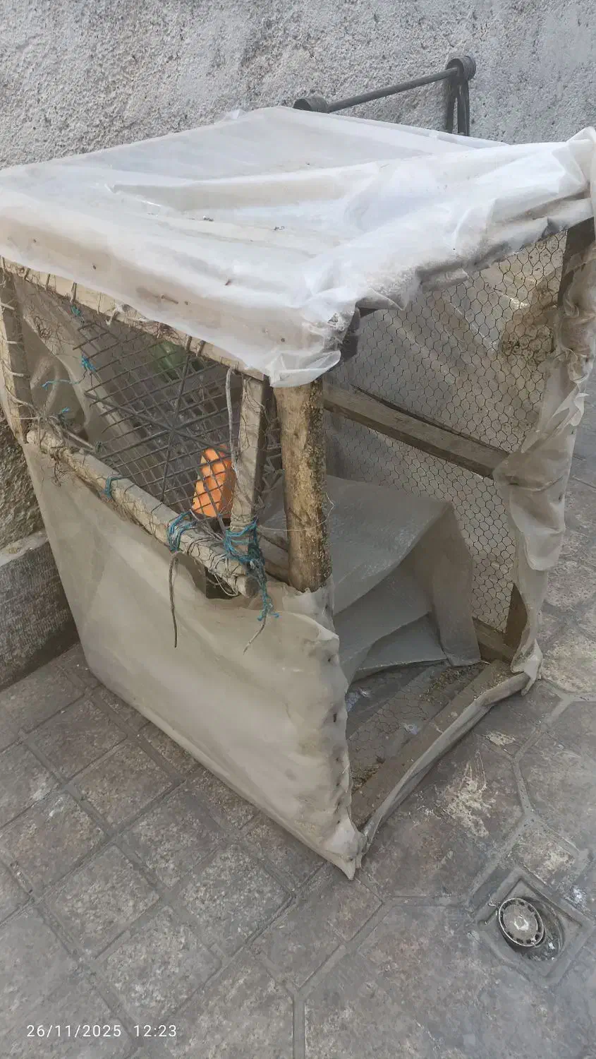 قفس|لوازم جانبی حیوانات|مشهد, قائم|دیوار