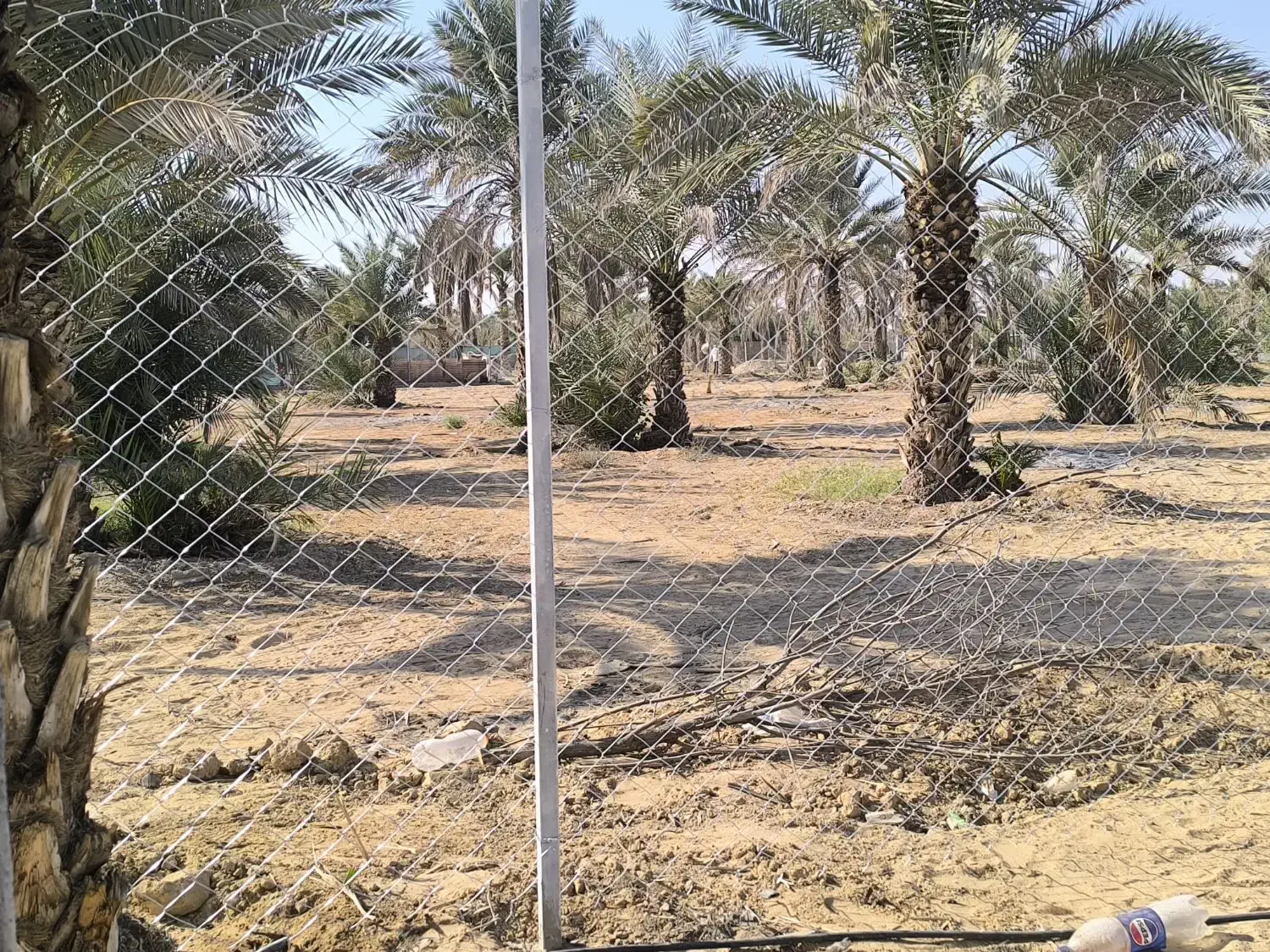 فروش عمده فنس|عمده‌فروشی|برازجان, |دیوار