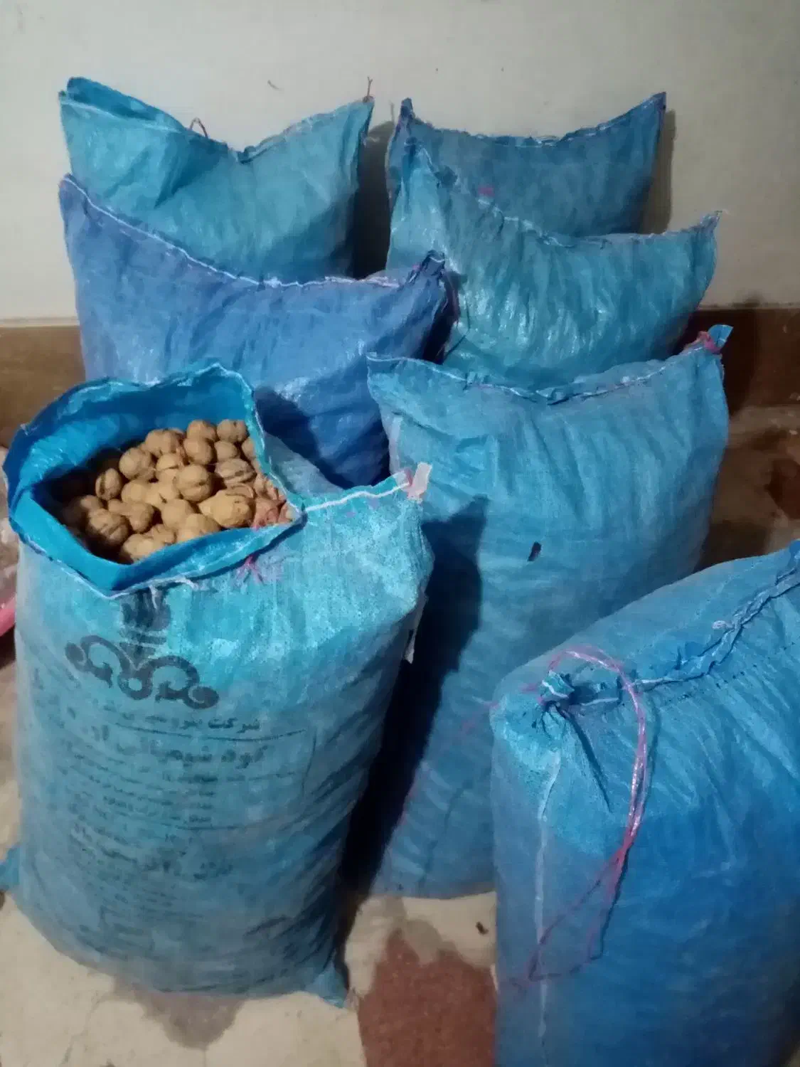 گردوی بوانات|خوردنی و آشامیدنی|شیراز, گلشن|دیوار