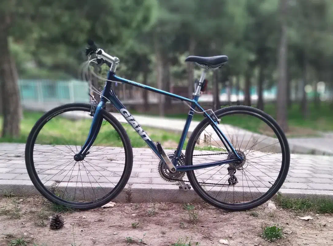 giant escape r3 ـ جاینت اسکیپ|دوچرخه، اسکیت، اسکوتر|تهران, امامت|دیوار