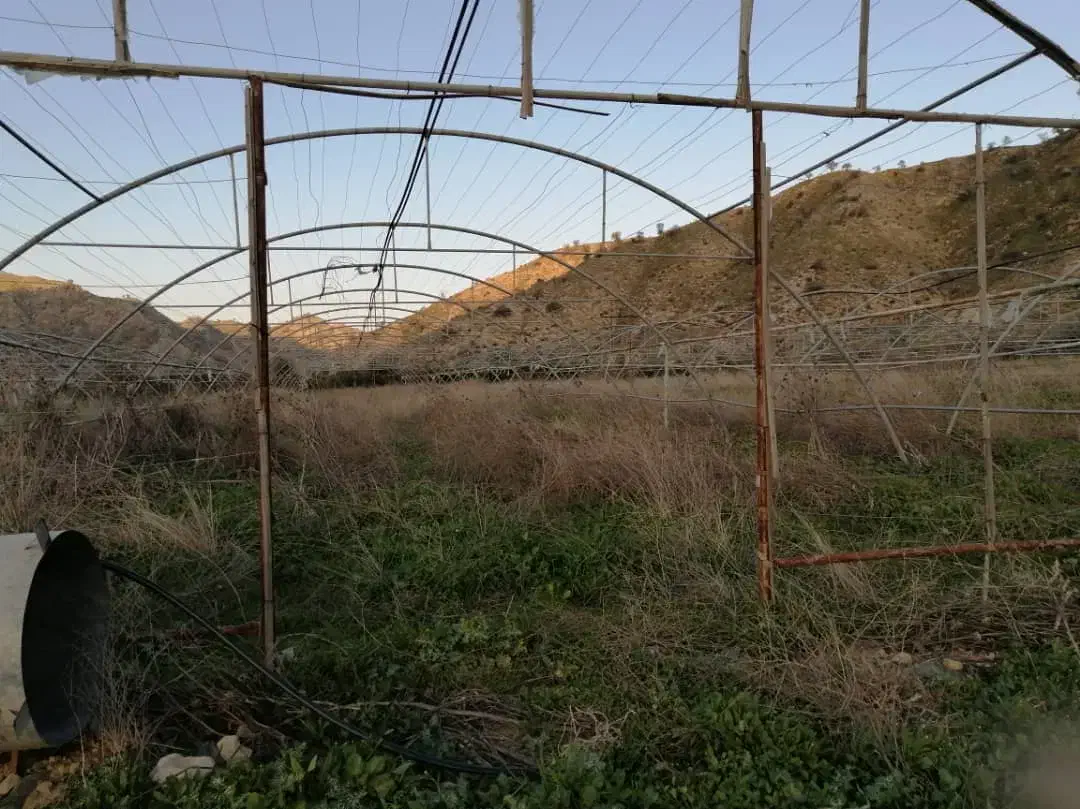 یک بار تریلی دارم لوله گلخانه|خدمات حمل و نقل|دوگنبدان, |دیوار