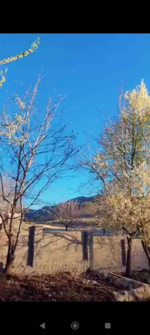 باغ جاده اصلی سپیدار|فروش زمین و ملک کلنگی|سپیدار, |دیوار