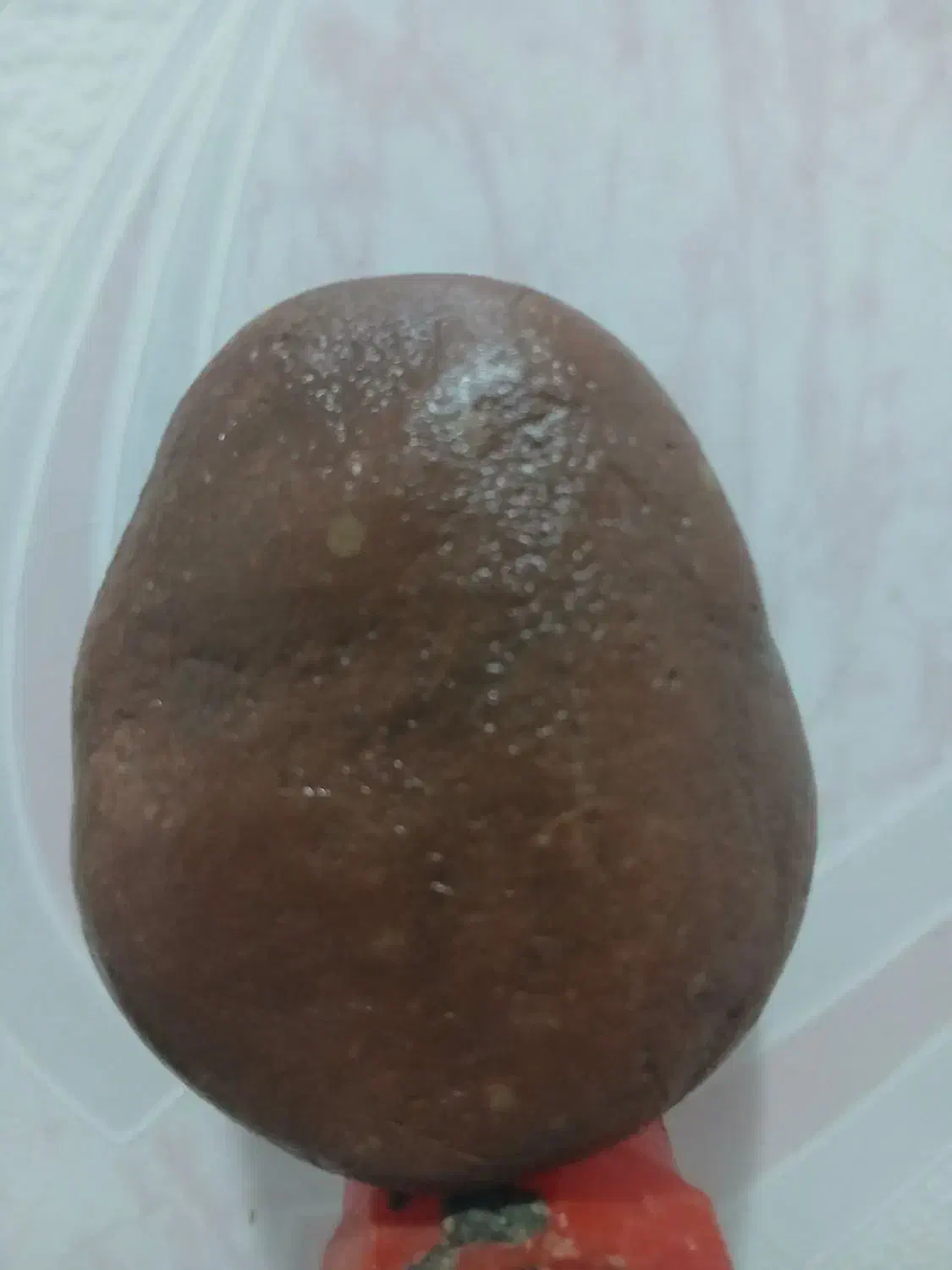 زیبایی طبیعت|جواهرات|رشت, آزادگان|دیوار