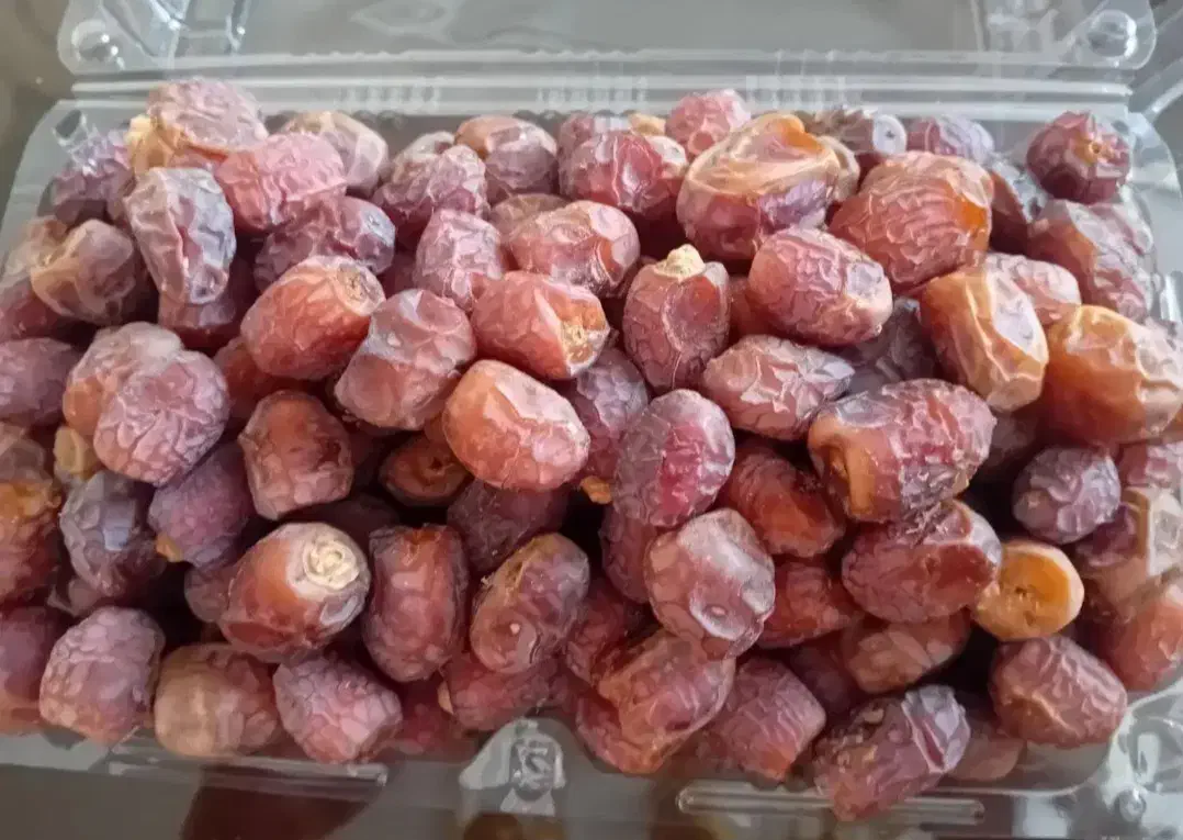 خرما از نخلستون خودمون|خوردنی و آشامیدنی|اهواز, دغاغله|دیوار