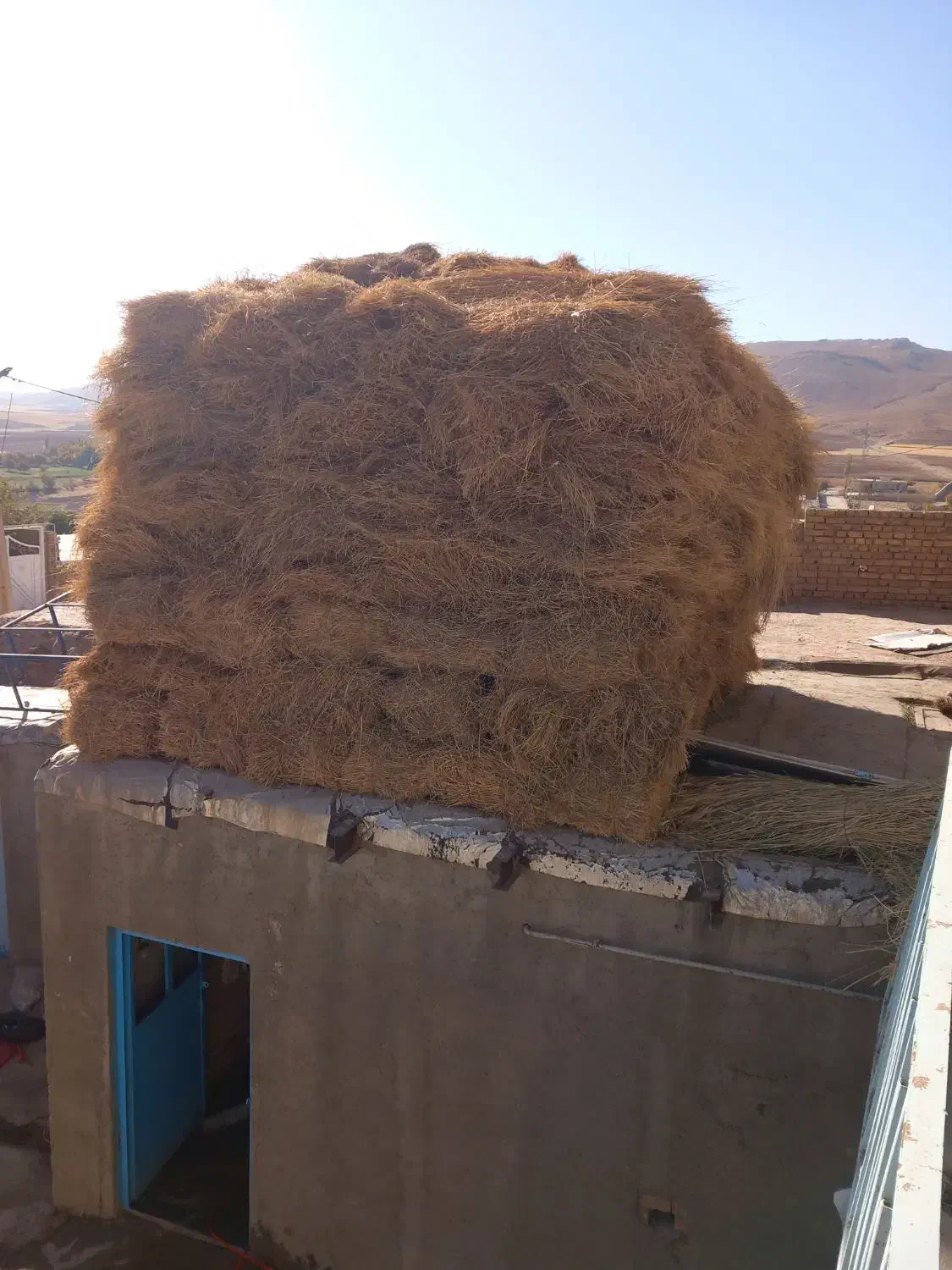 یونجه جو علف|حیوانات مزرعه|سجاس رود, |دیوار