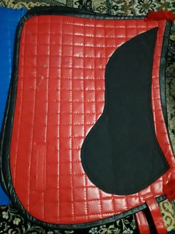 عرق گیر اسب|اسب و تجهیزات اسب‌سواری|ابریشم, |دیوار