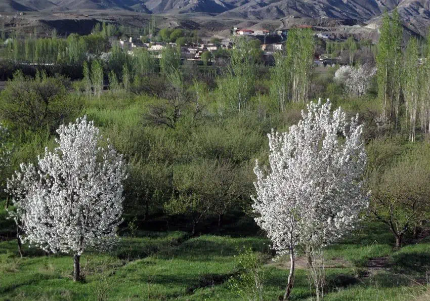 فروش زمین 307 متری با سند تک برگ و انشعابات کامل|فروش زمین و ملک کلنگی|لواسان, |دیوار