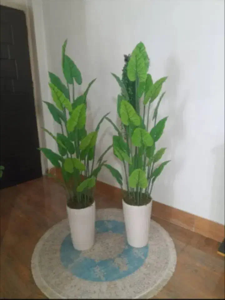 گل مصنوعی و ترند. تک فروشی و عمده|گل مصنوعی|محمدشهر, شهرک پیام (مهرالبرز)|دیوار